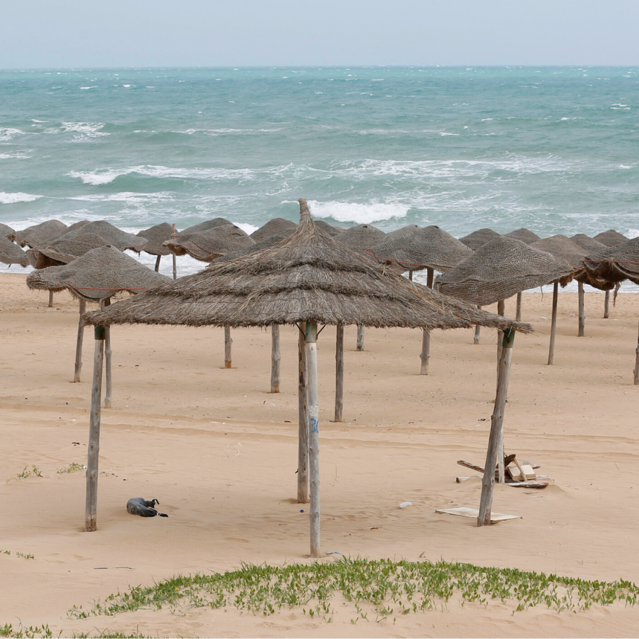 https://www.thinkglobalhealth.org/sites/default/files/styles/max_1300x1300_1_1/public/2021-07/Tunisian%20beach%201.1.png?itok=0mNzr1QU