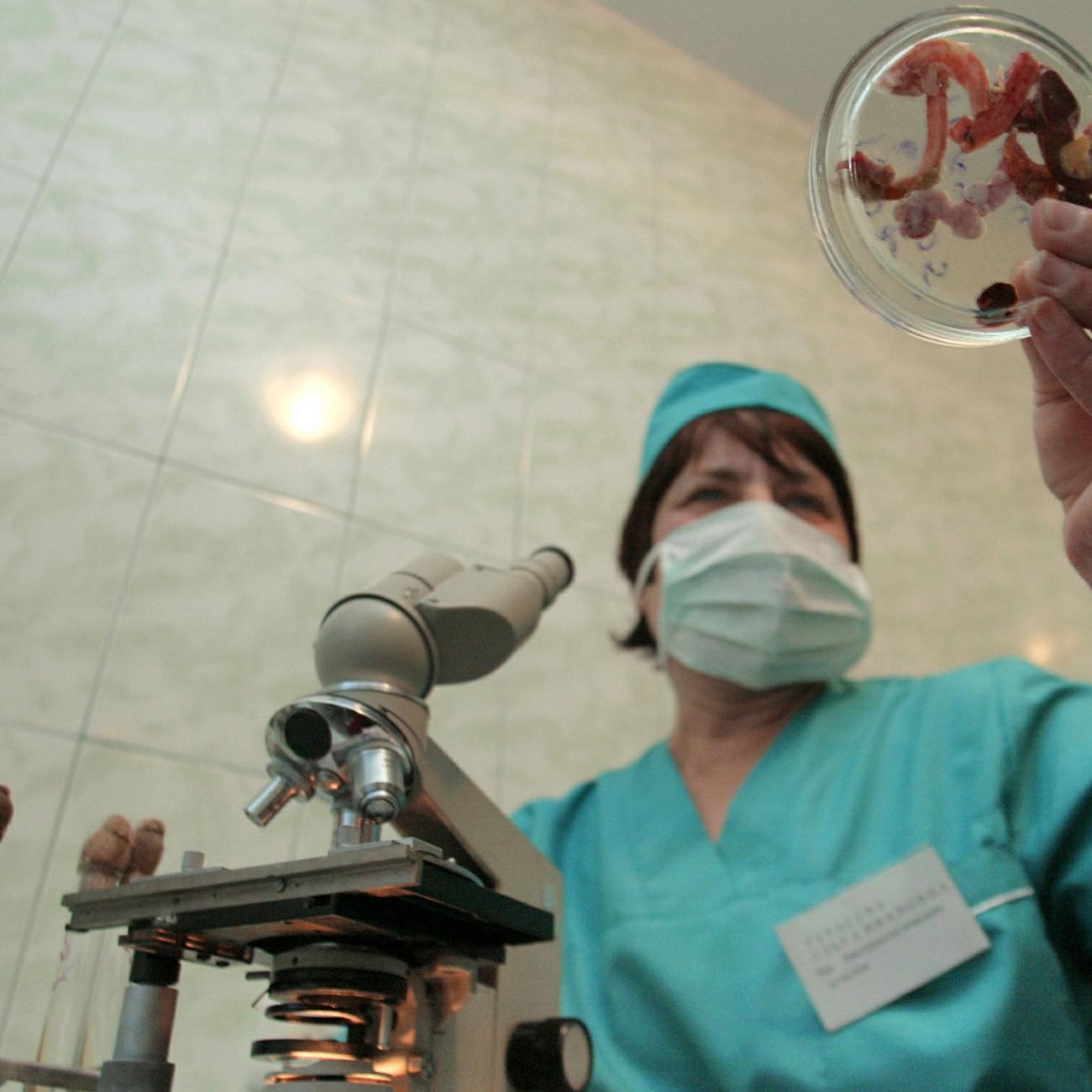 A laboratory worker in blue scrubs holds samples of poultry entrails to test them for bird flu in a laboratory in the eastern Ukrainian city of Donetsk December 7, 2005.