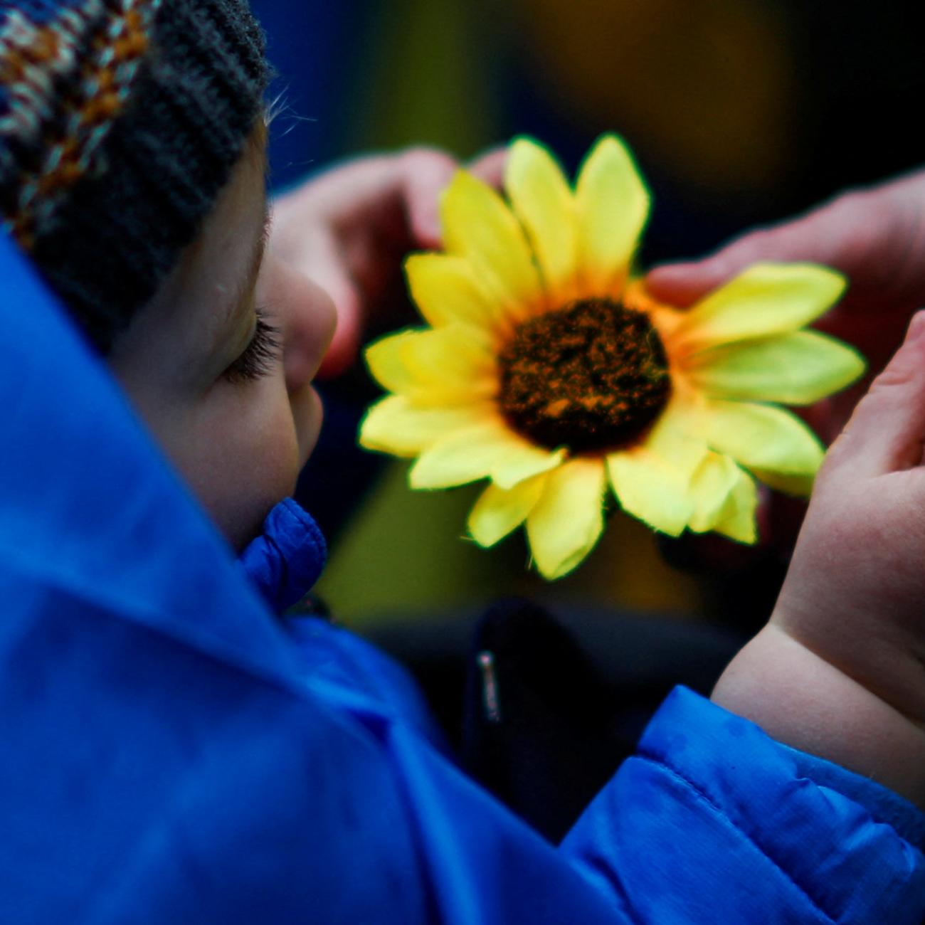 A baby in a blue coat plays with an artificial yellow sunflower. The colors evoke the blue and yellow of the Ukrainian flag. 