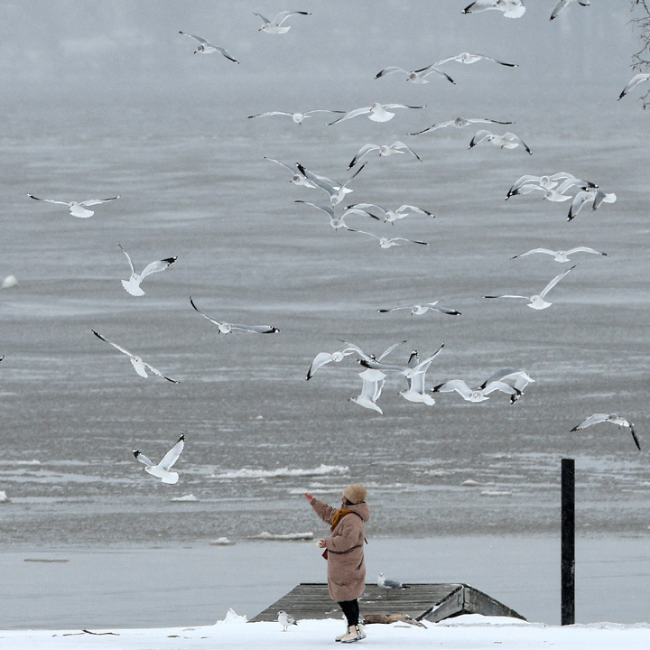 A woman feeds gulls along the Hudson River shore during a winter storm in Nyack, New York, on January 29, 2022. 