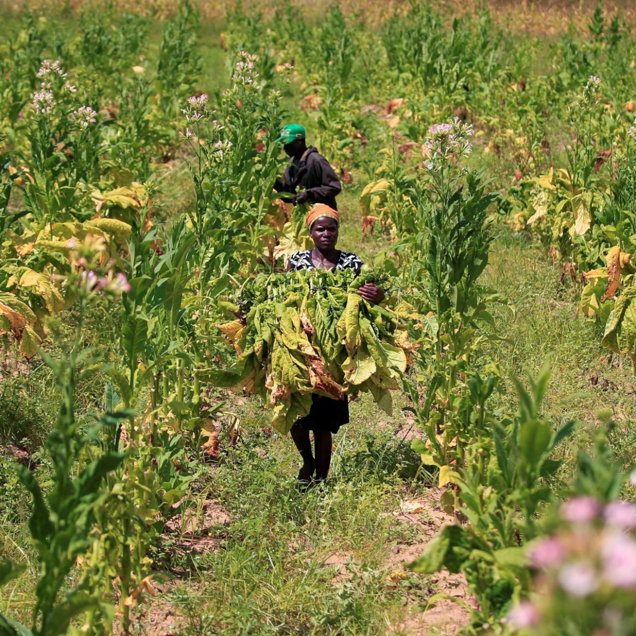 a woman walks in a field 