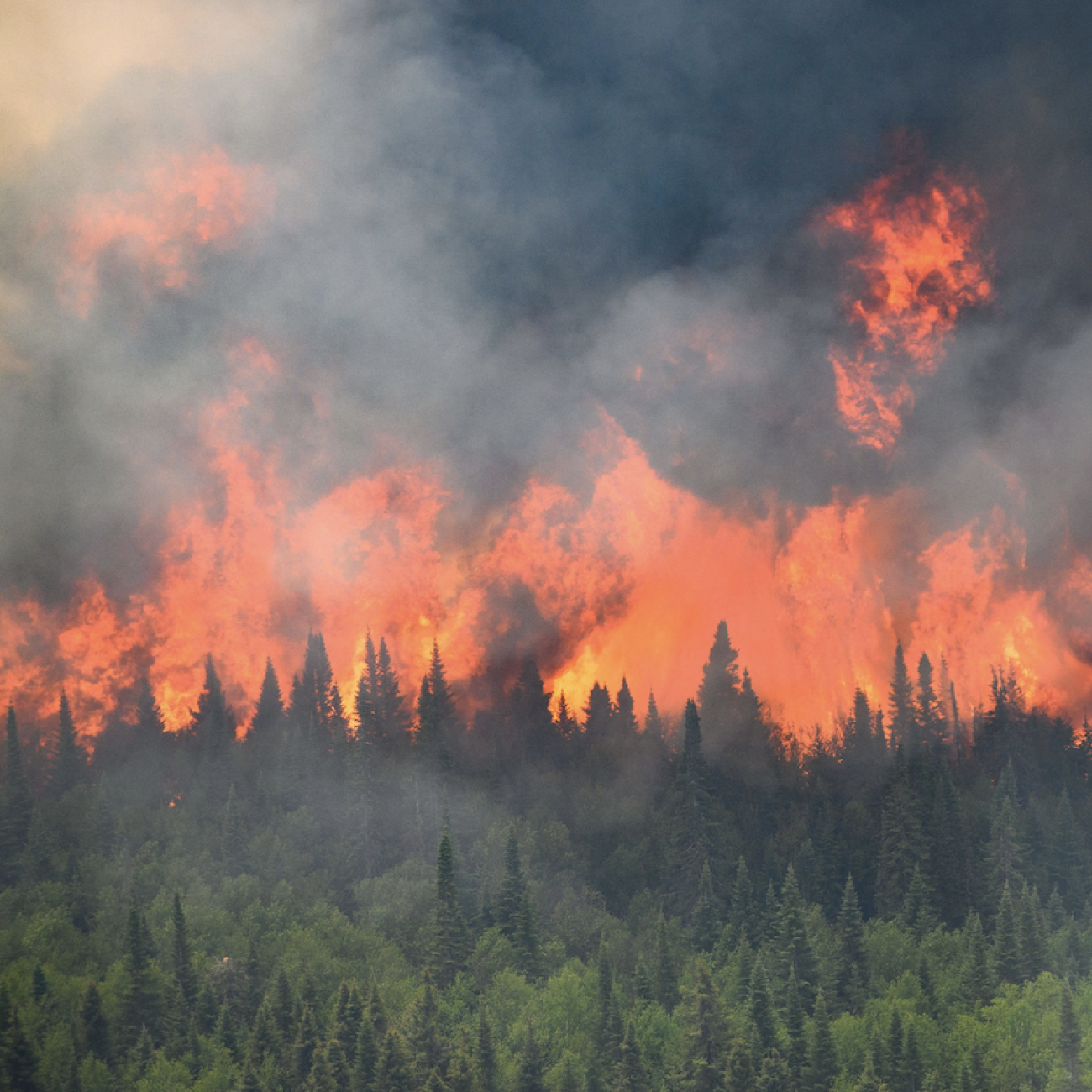 Flames reach upwards along the edge of a wildfire as seen from a Canadian Forces helicopter surveying the area near Mistissini, Quebec, Canada June 12, 2023. 