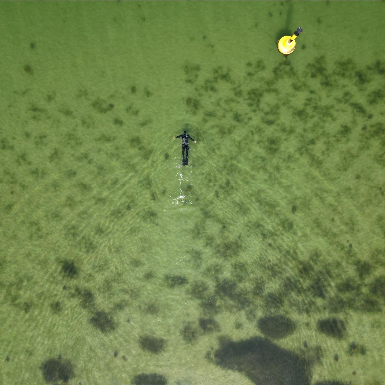 Tadhg O'Corcora, 38, a marine scientist for GEOMAR, snorkels above a hand-planted seagrass meadow in a checkerboard pattern in Gelting, Northern Germany, June 20, 2023.