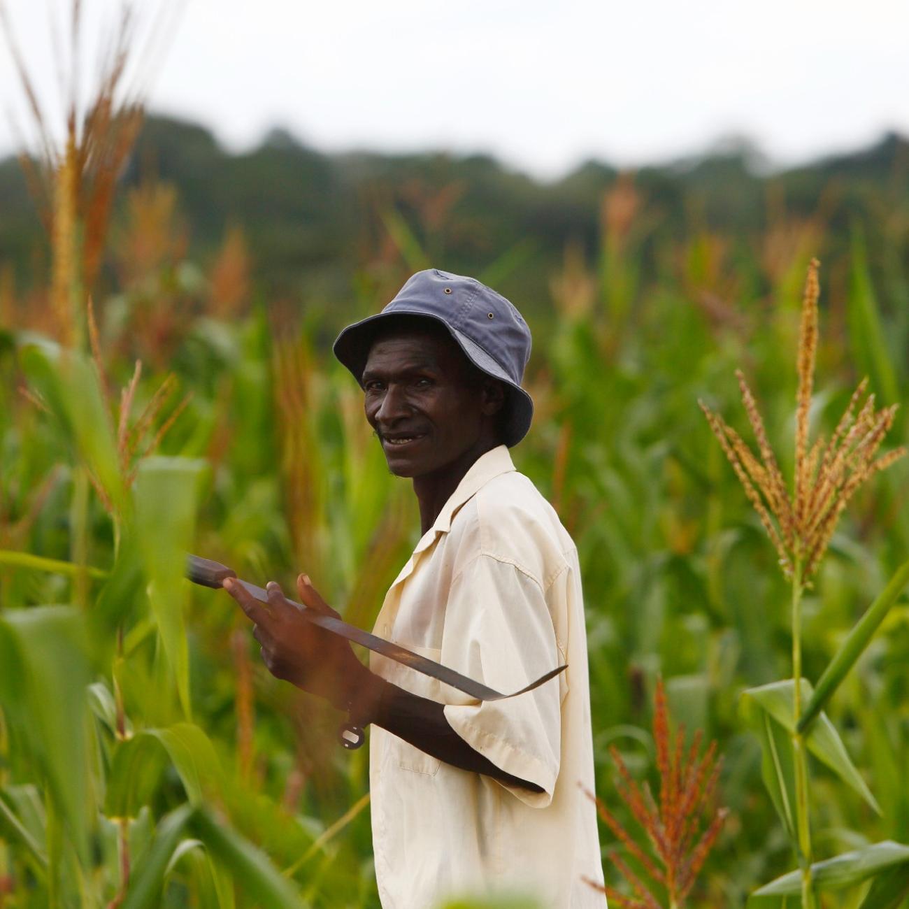 a man stands in a field