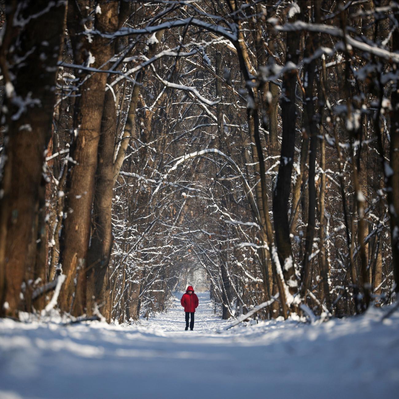 A man walks in a snow covered park in Sofia, Bulgaria, January 23, 2024. Bulgaria witnessed higher excess mortality rates during the pandemic, according to a new study of global life expectancy. 