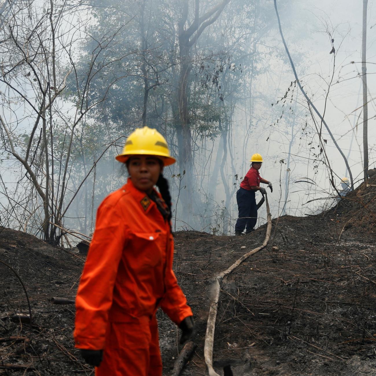 Volunteers of the Central University of Venezuela firefighter brigade battle a wildfire in Henri Pittier National Park.