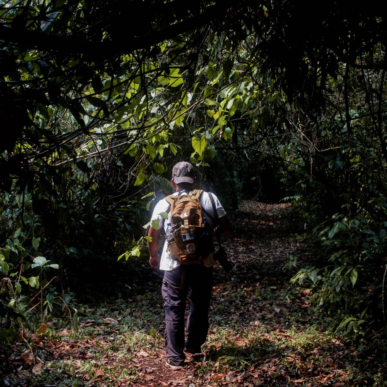 A community member and tour guide promoting ecotourism walks through the rainforest.