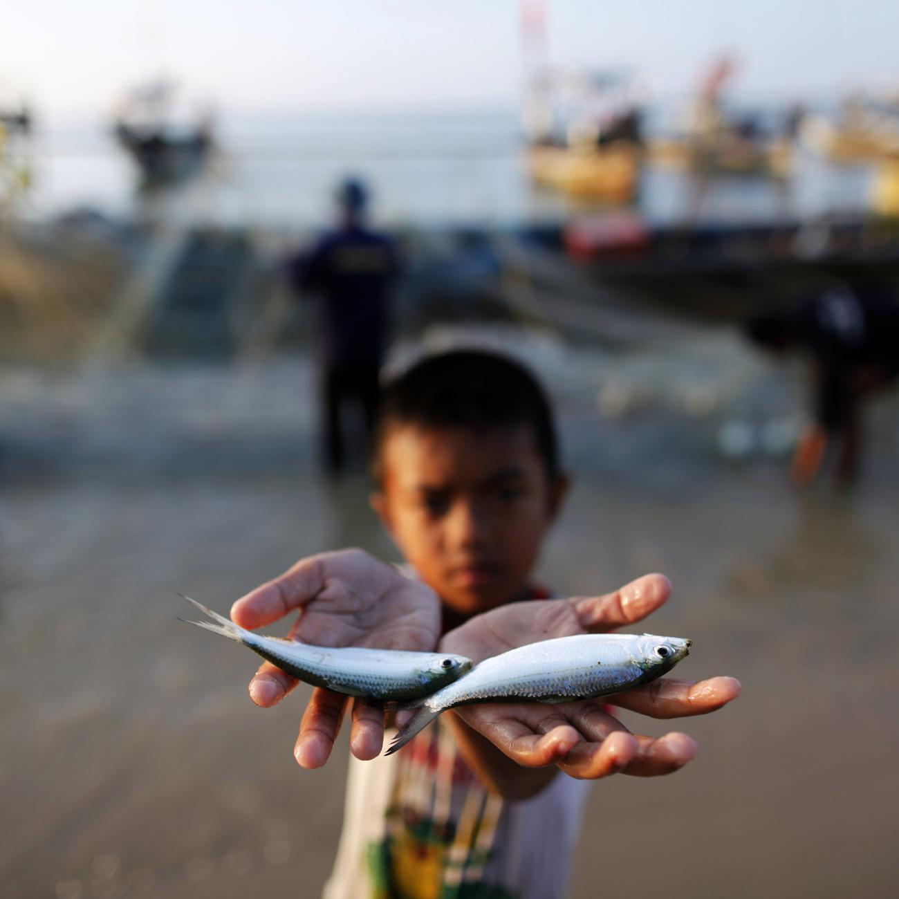 A boy shows fish to the photographer after fishermen returned from a trip on their boats, in the small fishing village of Ban Nam Khem, Thailand, on December 9, 2009.
