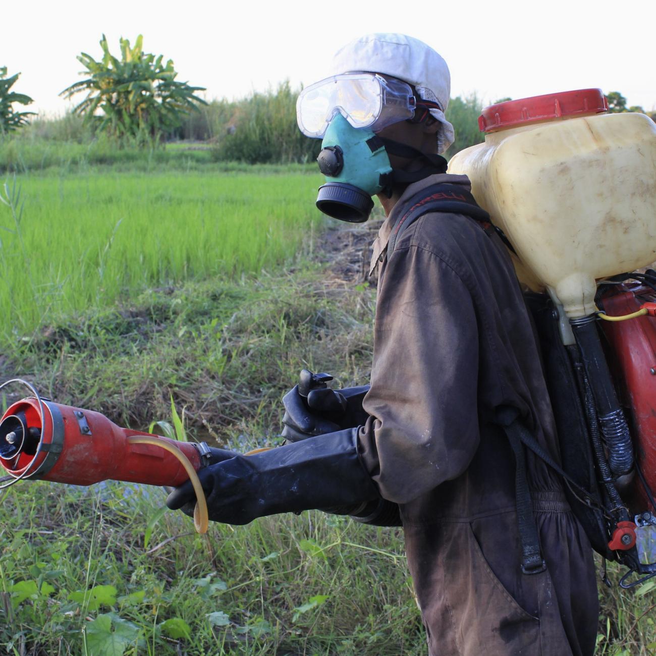 A member of the National Anti-Locusts Committee prepares to fumigate locusts in the village of Soatanimbary in the Menabe region of western Madagascar on March 29, 2013.