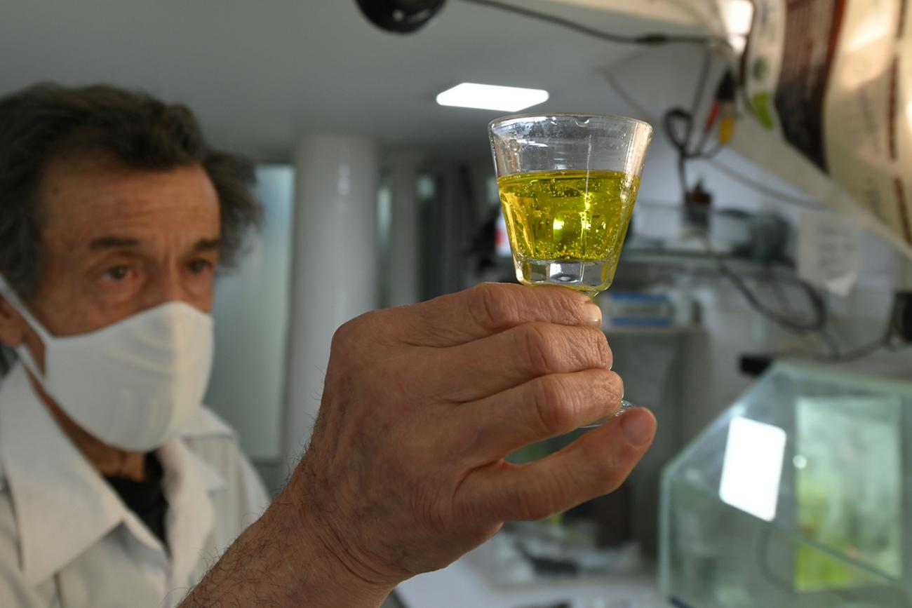 A pharmacist holds a medicine containing chlorine dioxide at the Farmacia Boliviana, amid the outbreak of the coronavirus disease (COVID-19), in Cochabamba, Bolivia, on July 21, 2020. The photo shows a man wearing a mask holding up a wine glass filled with a bright yellow liquid. REUTERS/Danilo Balderrama