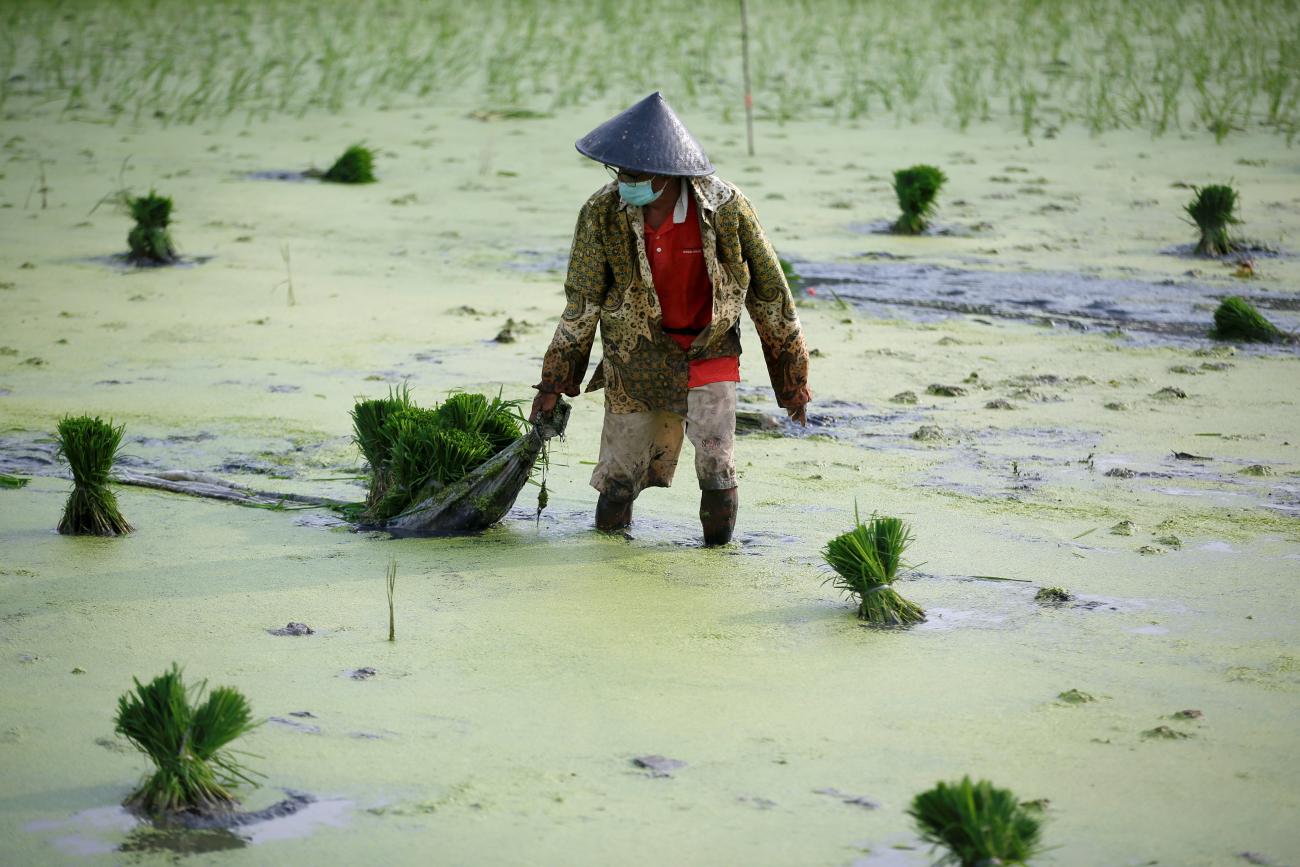 a farmer wearing a mask plows a field