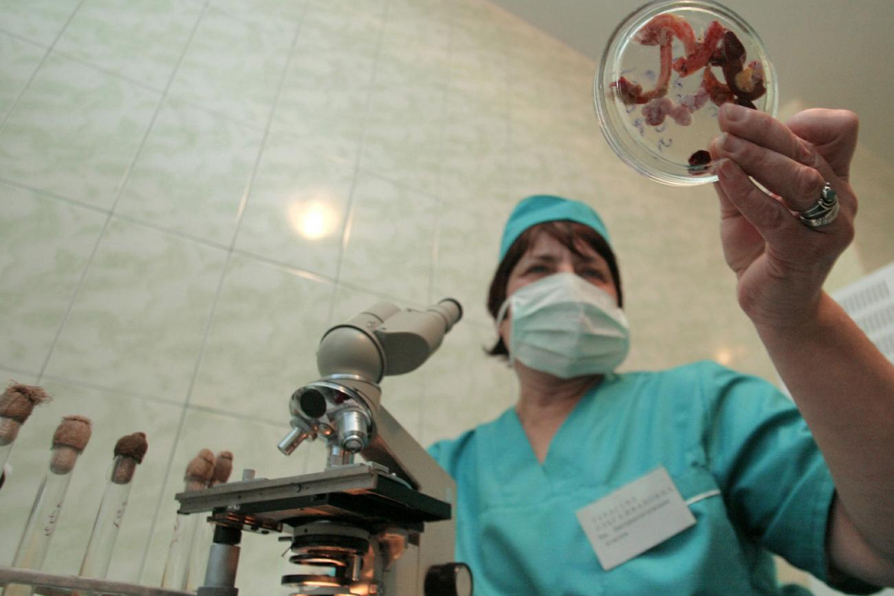 A laboratory worker in blue scrubs holds samples of poultry entrails to test them for bird flu in a laboratory in the eastern Ukrainian city of Donetsk December 7, 2005.