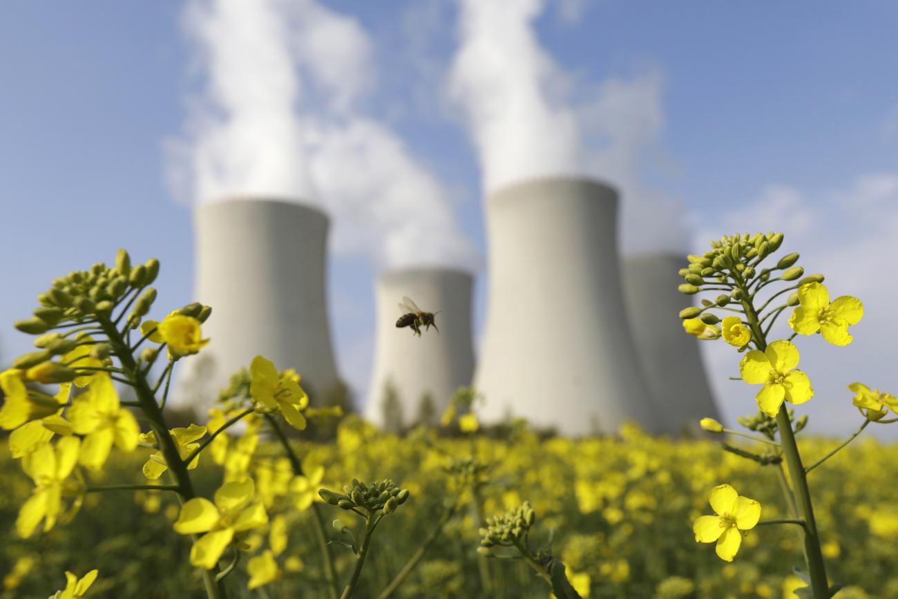 Concrete nuclear reactor towers bellowing pillars of white smoke stand against a blue sky. In the foreground a bee flits between bright yellow flowers atop leafy green stems