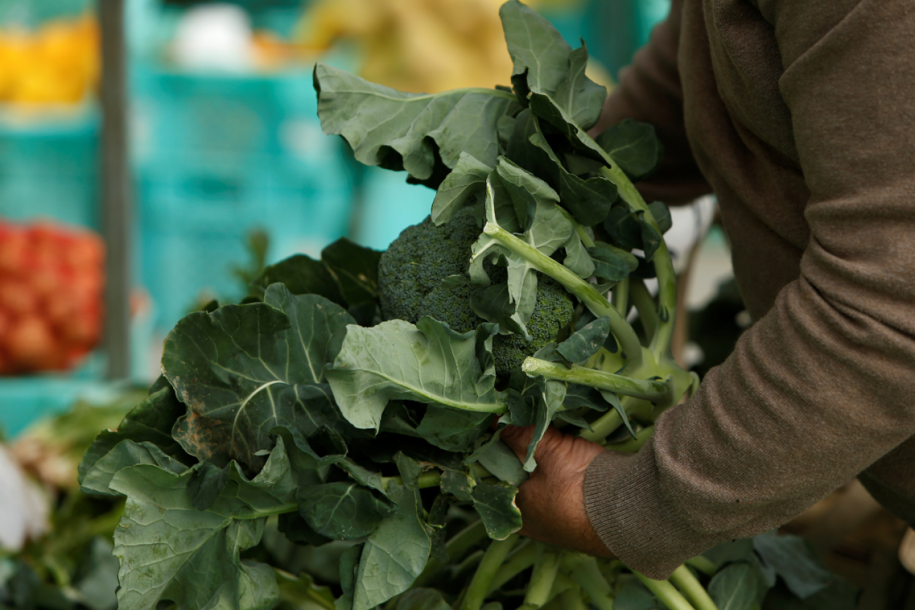 A close-up image of a man's arm in a brown sweater carrying a big armload of leafy broccoli at a farmers market in Ta' Qali, Malta, on February 6, 2018. 