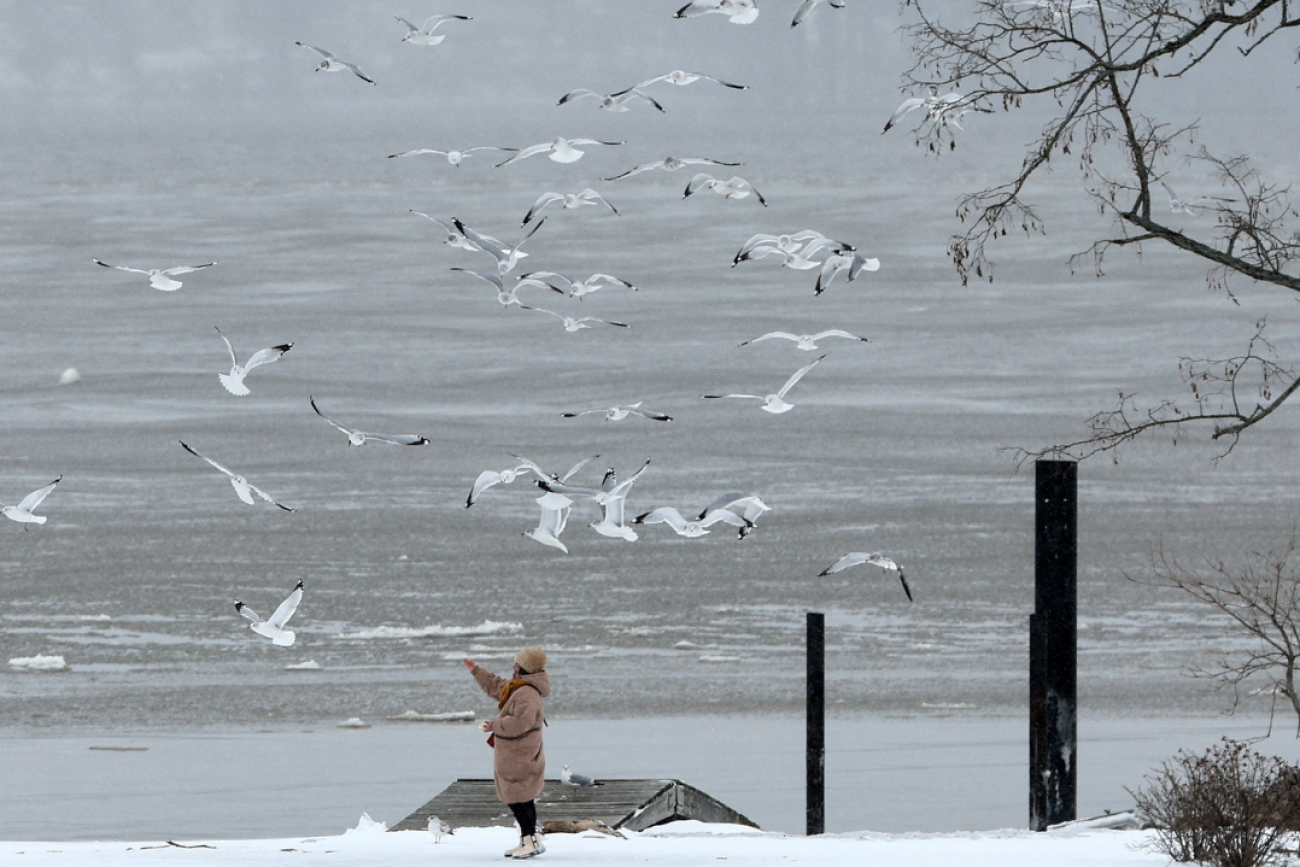 A woman feeds gulls along the Hudson River shore during a winter storm in Nyack, New York, on January 29, 2022. 