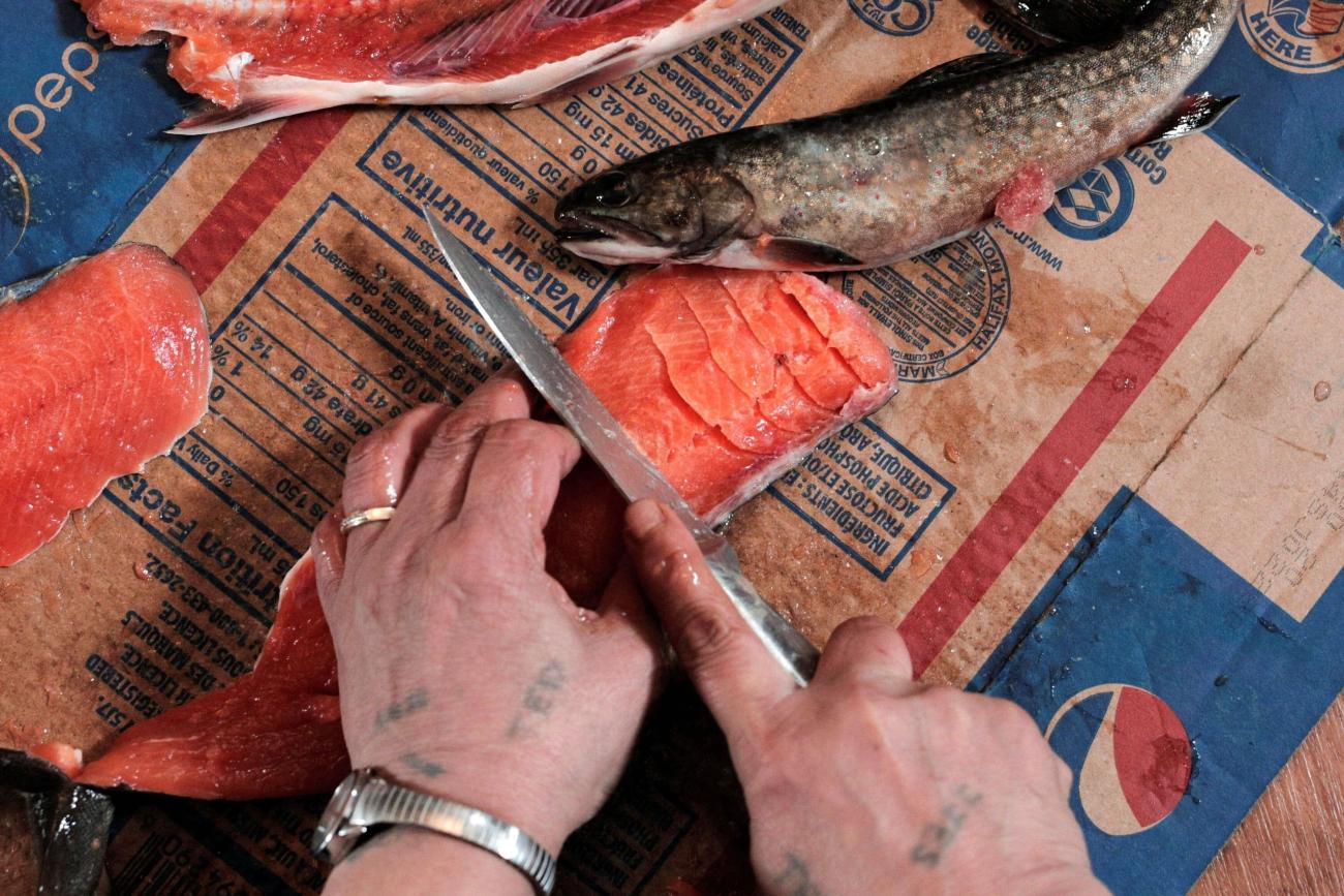 Katie Winters, 54, scores Arctic char to make pitsik (dried fish), at her home in Nain, Newfoundland and Labrador, Canada, April 20, 2022. REUTERS/Melissa Renwick