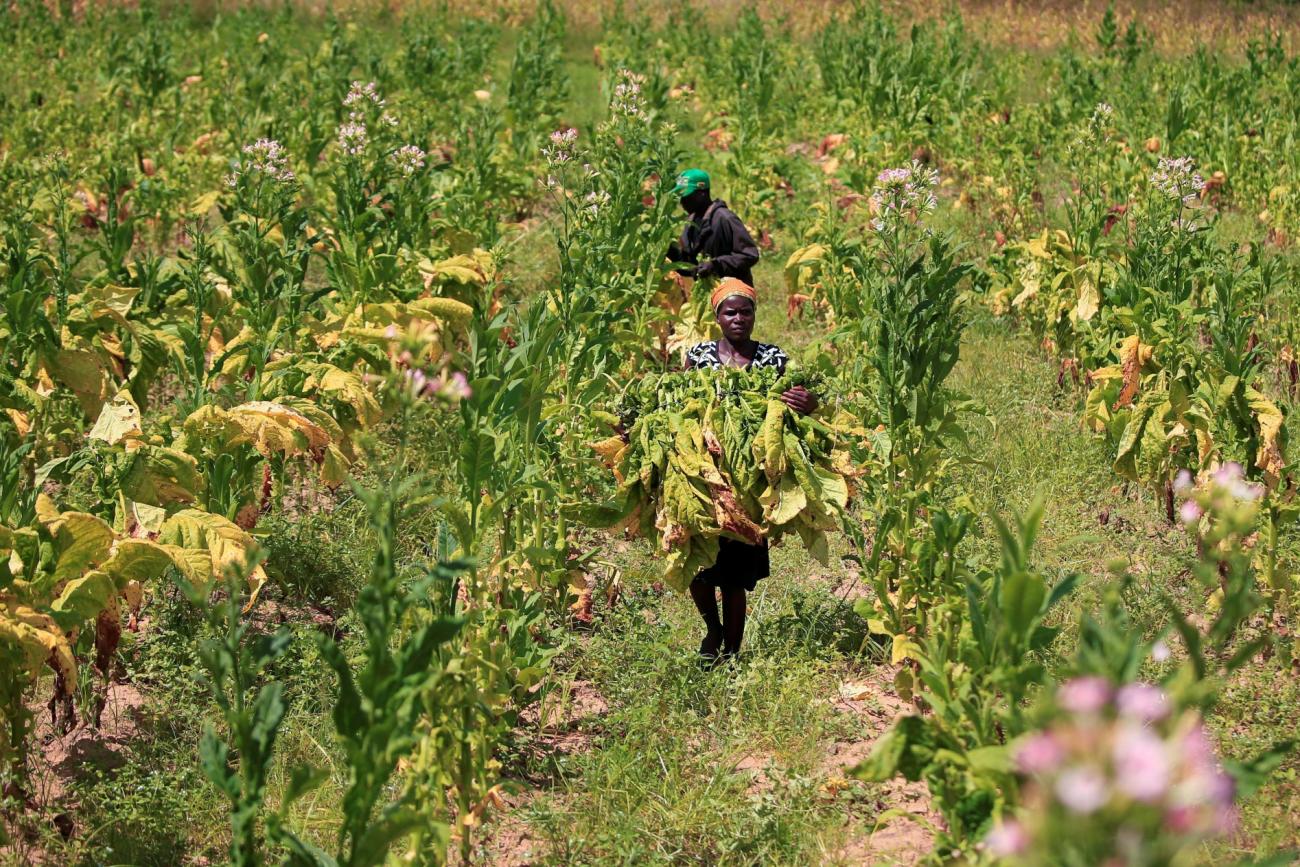 a woman walks in a field 