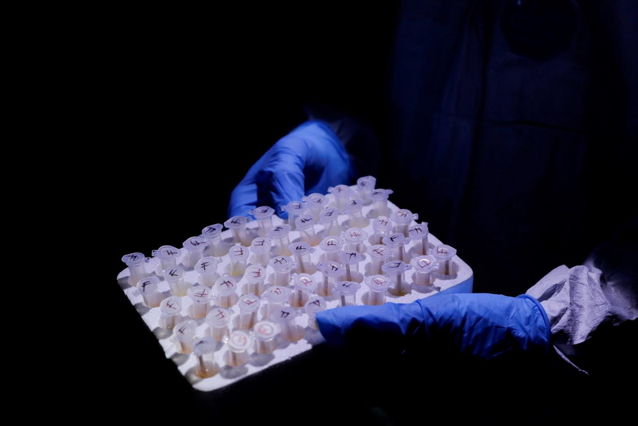 A member of a research team investigating emerging zoonotic diseases holds samples at a bat breeding shed, at Accra Zoo in Accra, Ghana, August 19, 2022. 