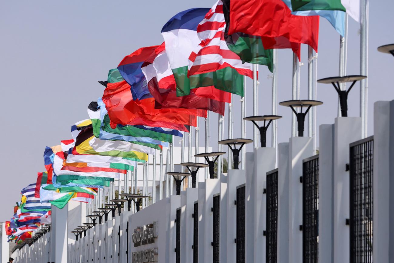 Flags of multiple countries waving.