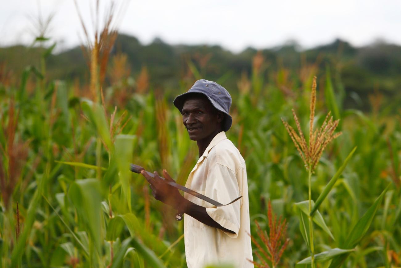 a man stands in a field