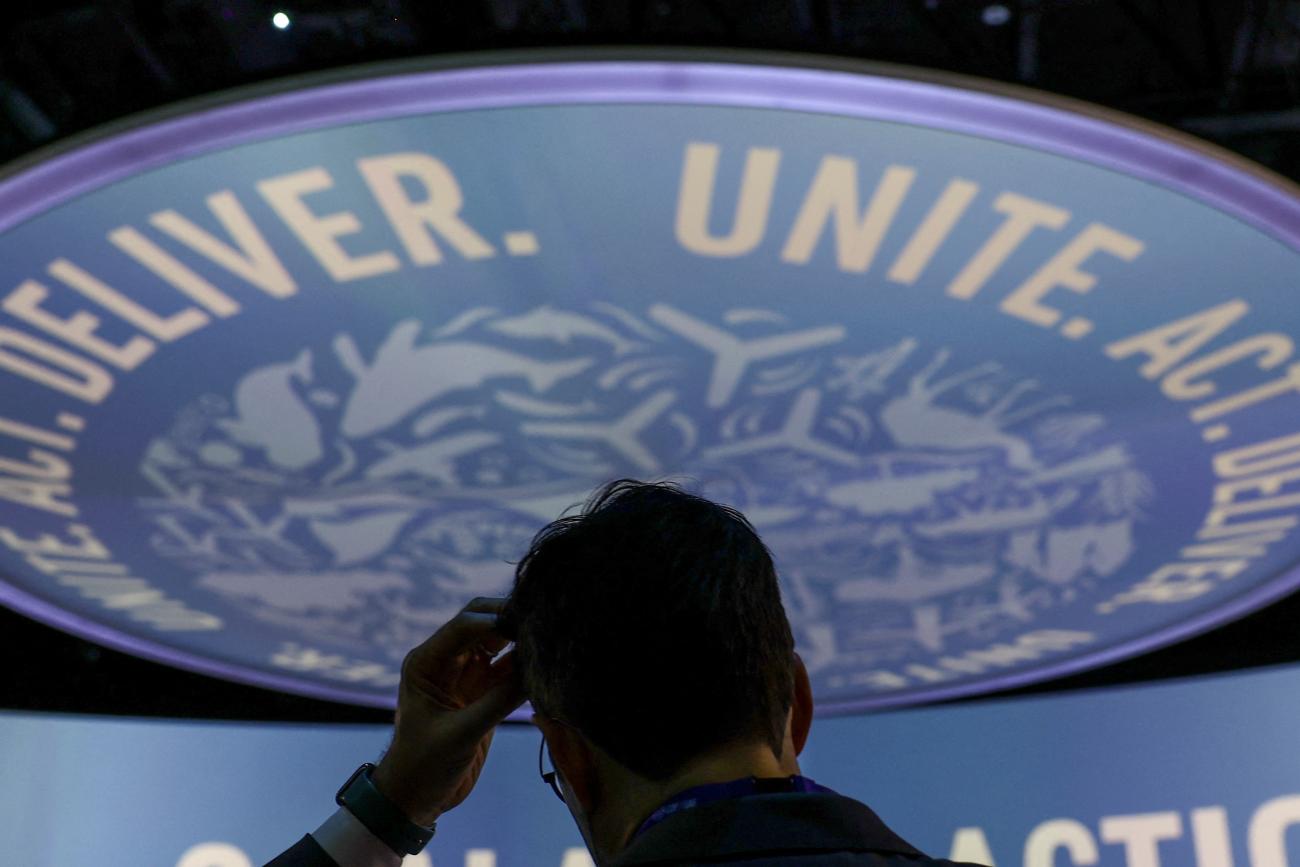 A person attends the United Nations Climate Change Conference.