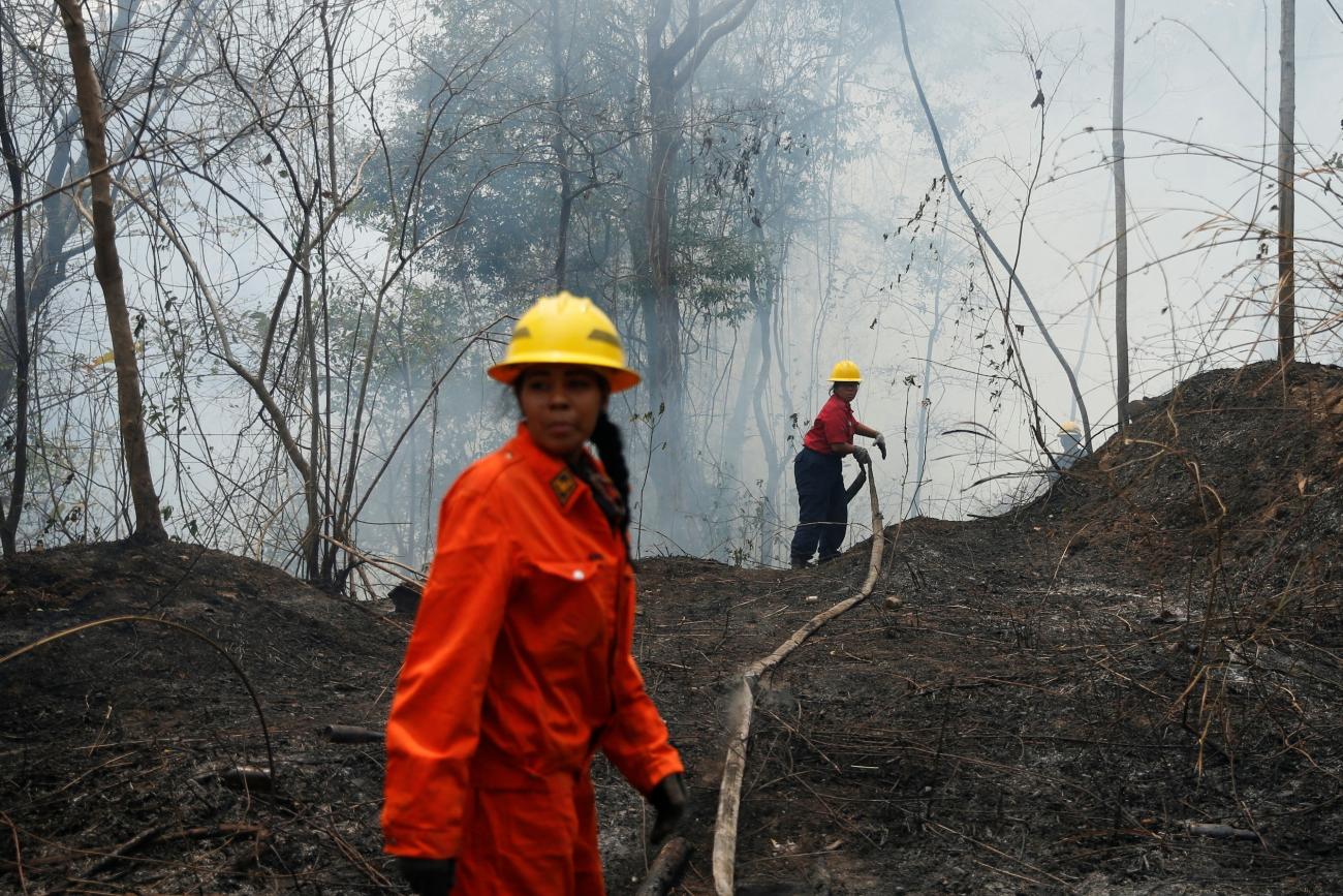 Volunteers of the Central University of Venezuela firefighter brigade battle a wildfire in Henri Pittier National Park.