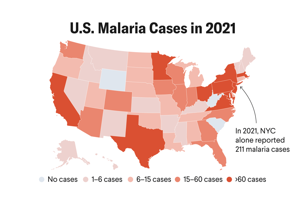 Malaria Present Throughout United States in 2021: New York, Maryland, and Texas reported the greatest number of malaria cases