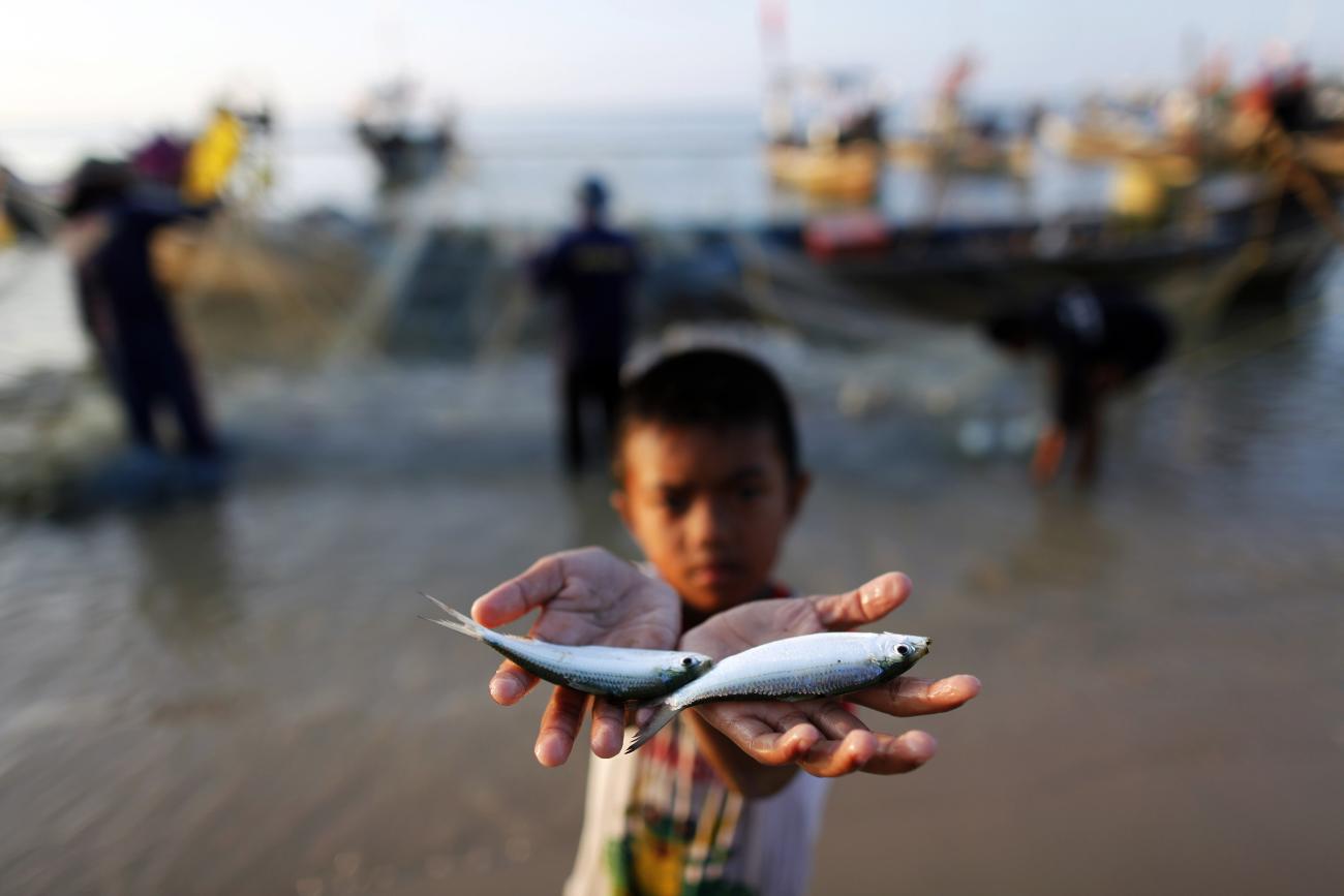 A boy shows fish to the photographer after fishermen returned from a trip on their boats, in the small fishing village of Ban Nam Khem, Thailand, on December 9, 2009.