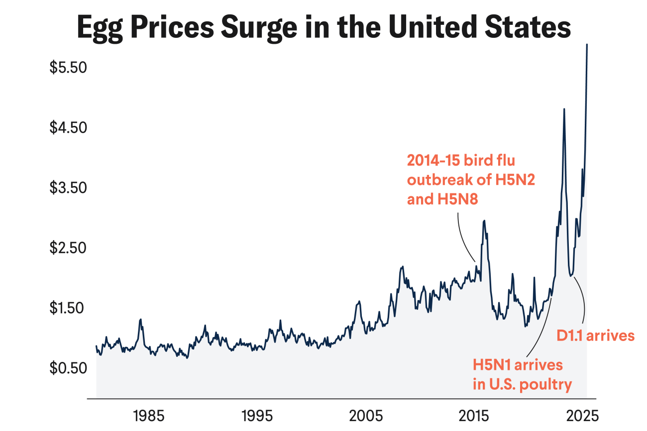 A line graph titled "Egg Prices Surge in the United States" showing the historical trend of egg prices from 1980 to 2025. The average cost of a dozen large grade A eggs is $5.89 as of March 12, 2025