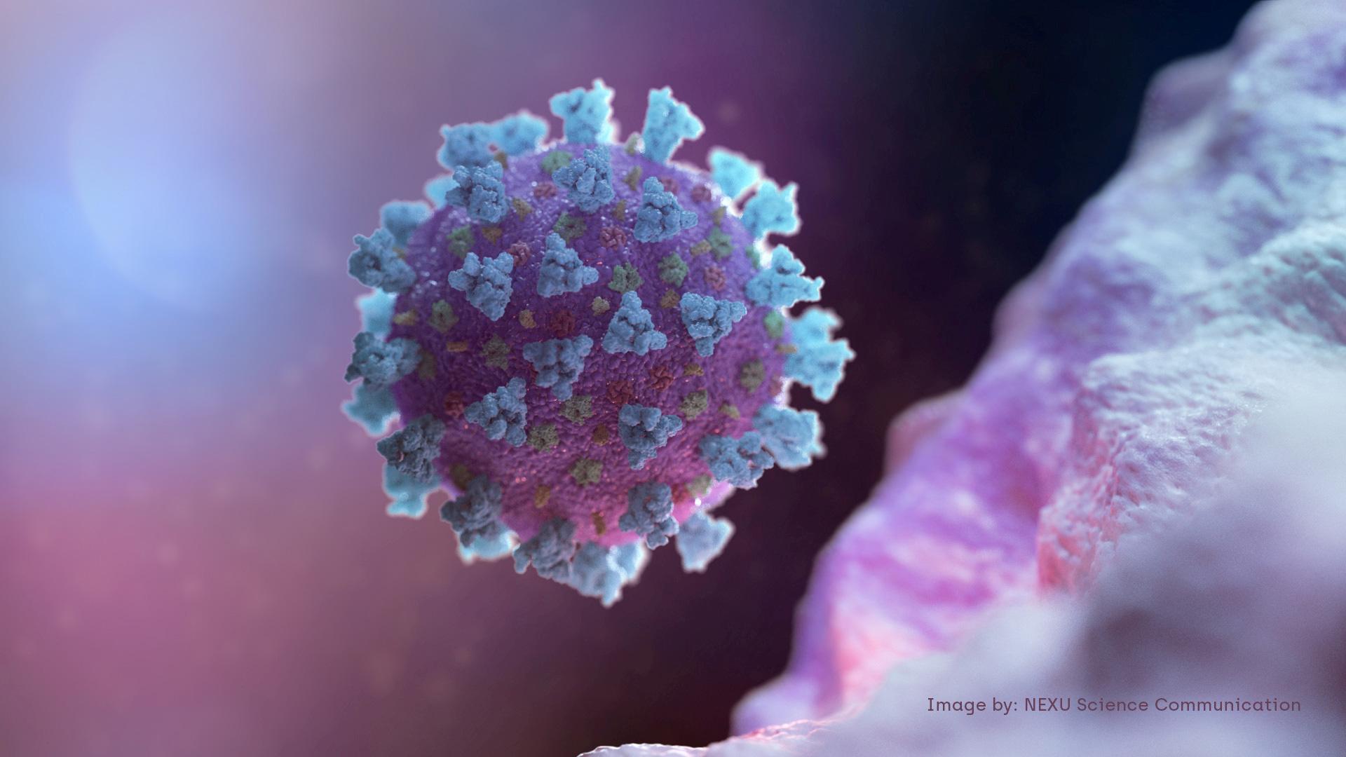 The image is a purple and pink representation of the globular virus.