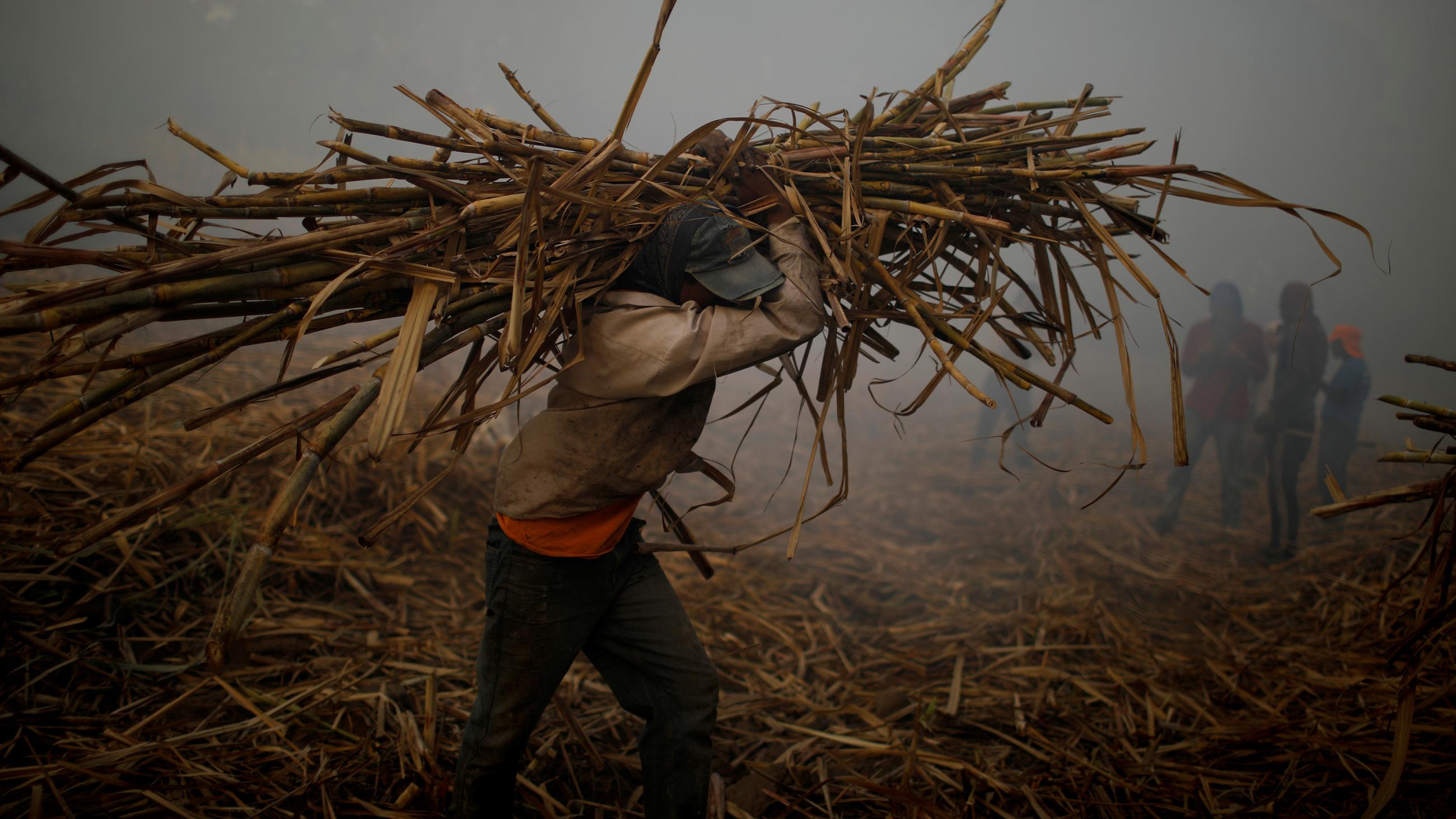 The photo shows a man carrying a huge bundle of canes on his shoulder through a smoky environment with several other workers standing in the background. 