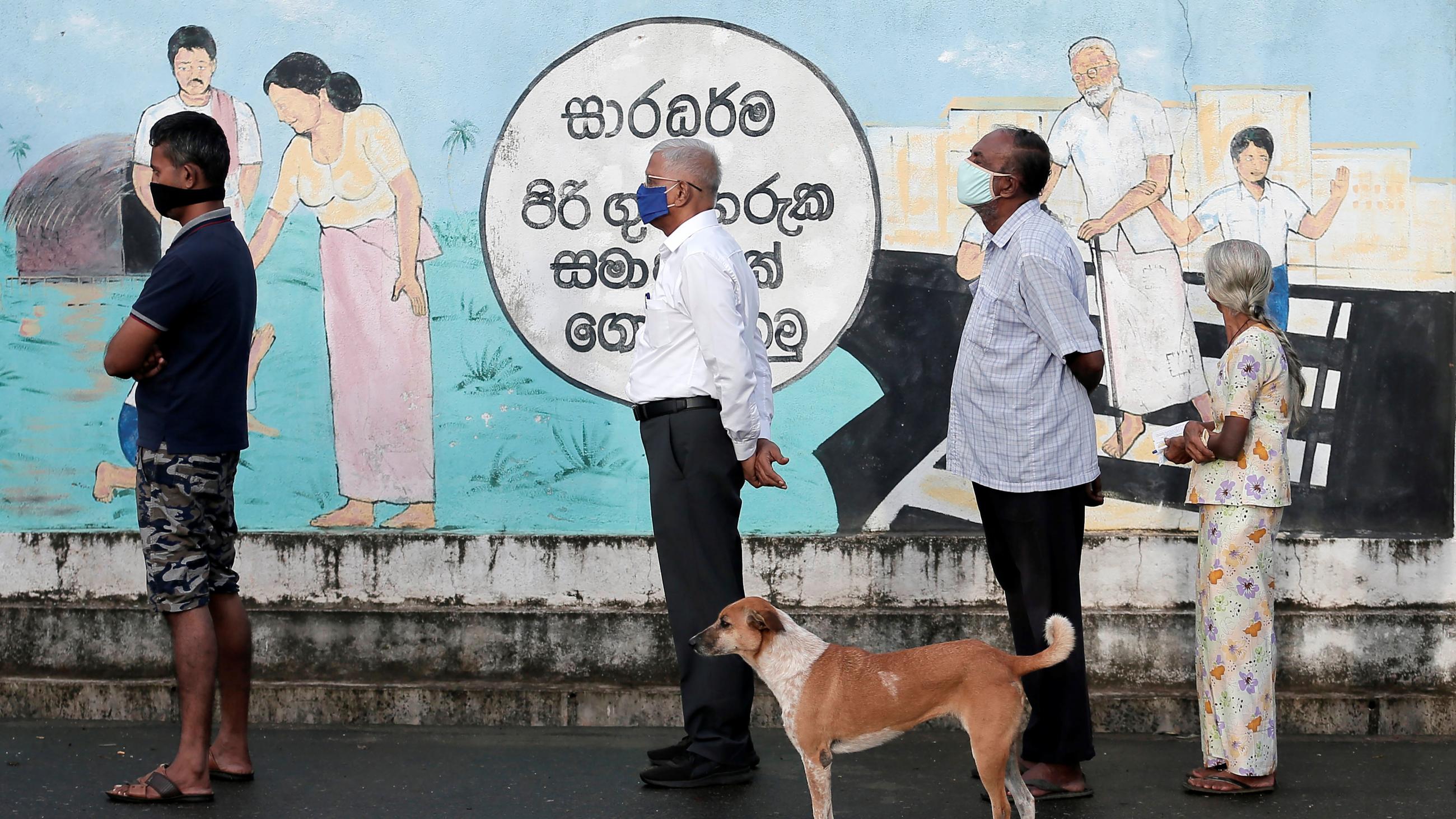 People wearing protective masks wait in a line outside a polling station as they prepare to cast their vote, while a dog stands next to them, during the country's parliamentary election in Sri Lanka.