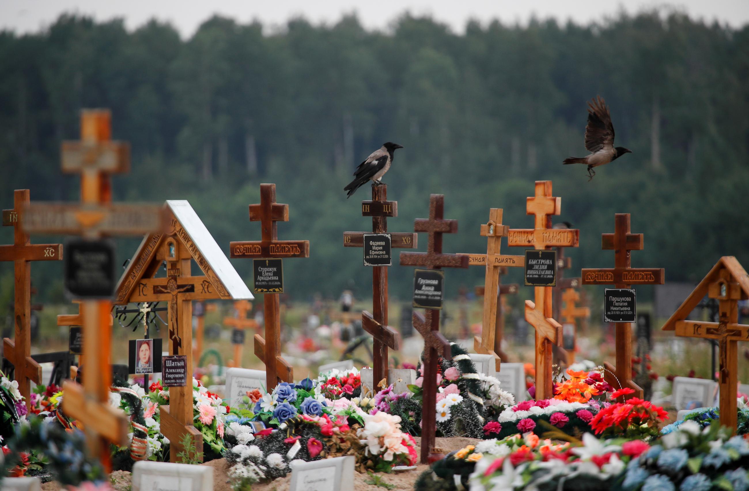 Birds are seen near crosses at the special purpose section of a graveyard for coronavirus disease victims on the outskirts of Saint Petersburg, Russia on June 25, 2021.