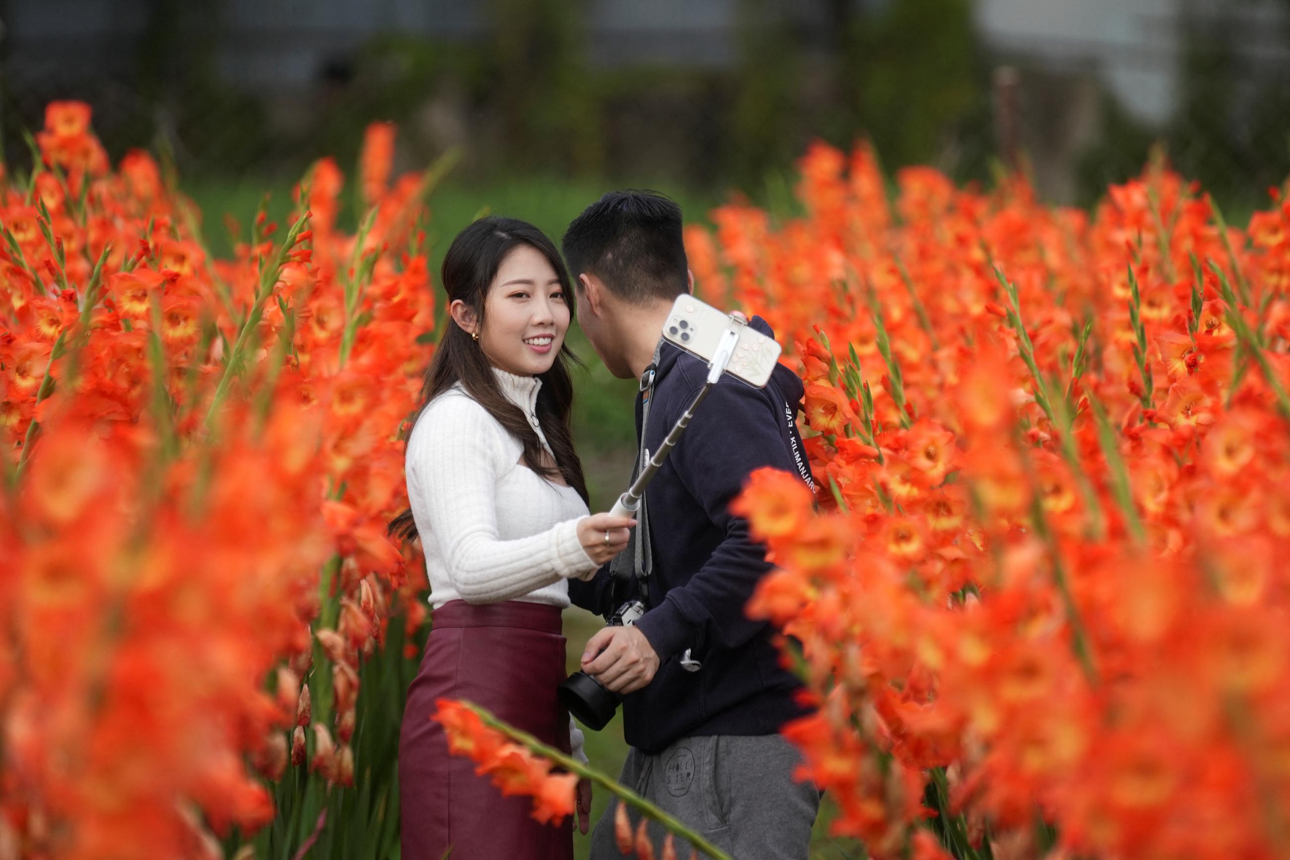 Surrounded by a field of orange flowers, visitors take a selfie at Leung Yat-Shen's flower farm after the government announced the closure of Lunar New Year flower fairs to curb COVID, in Hong Kong, January 27, 2022.