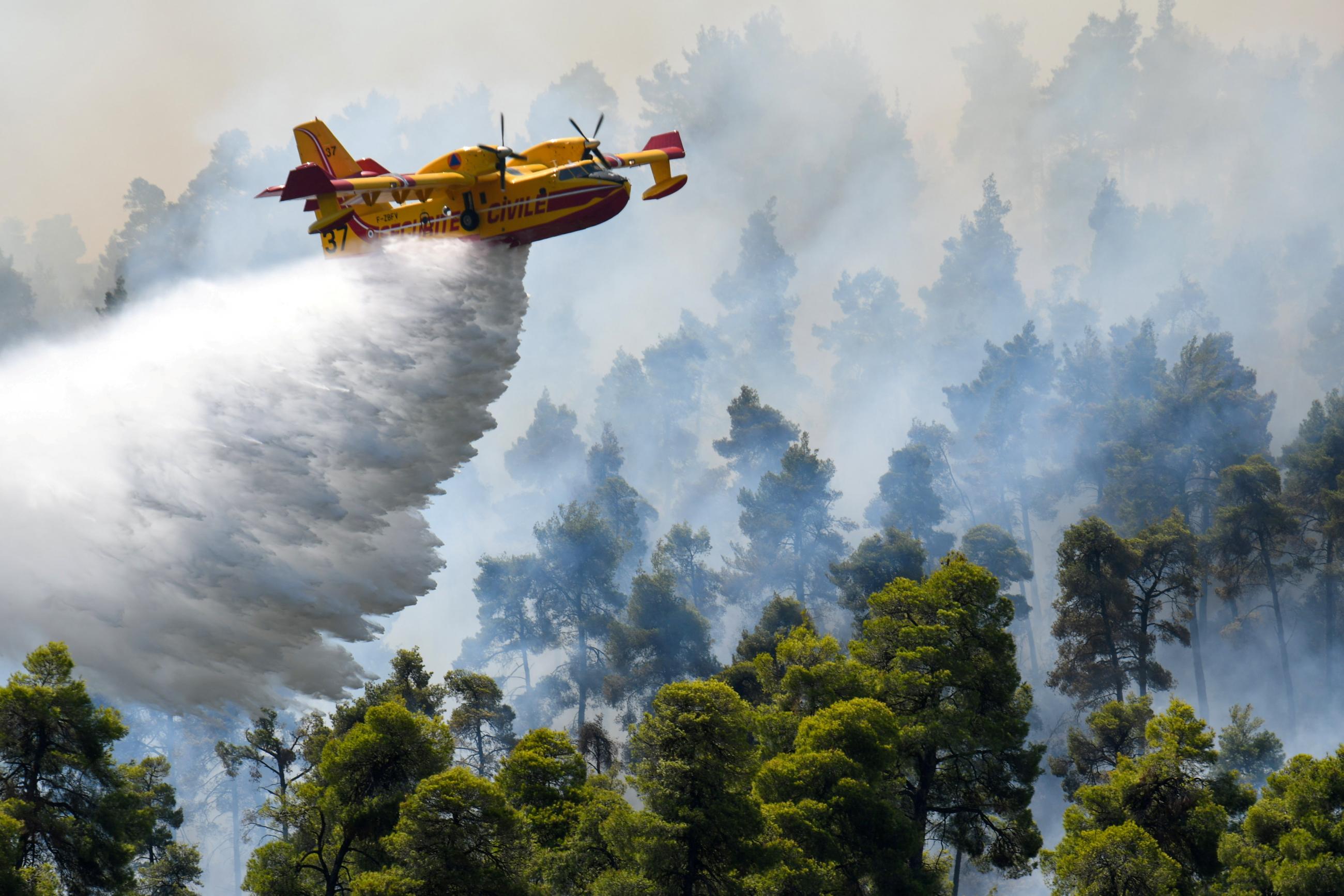 Smoke billows below a firefighting plane as it makes a water drop as a wildfire burns near the village of Ellinika, on the island of Evia, Greece, on August 8, 2021. 