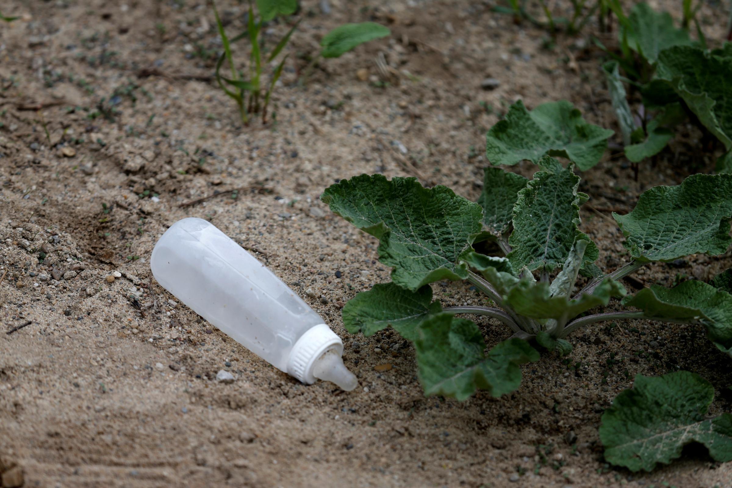 An empty baby bottle lies on the ground in sandy dirt next to leafy green plants near the U.S.-Canada border on Roxham Road from Champlain, New York, U.S., on April 24, 2017. 
