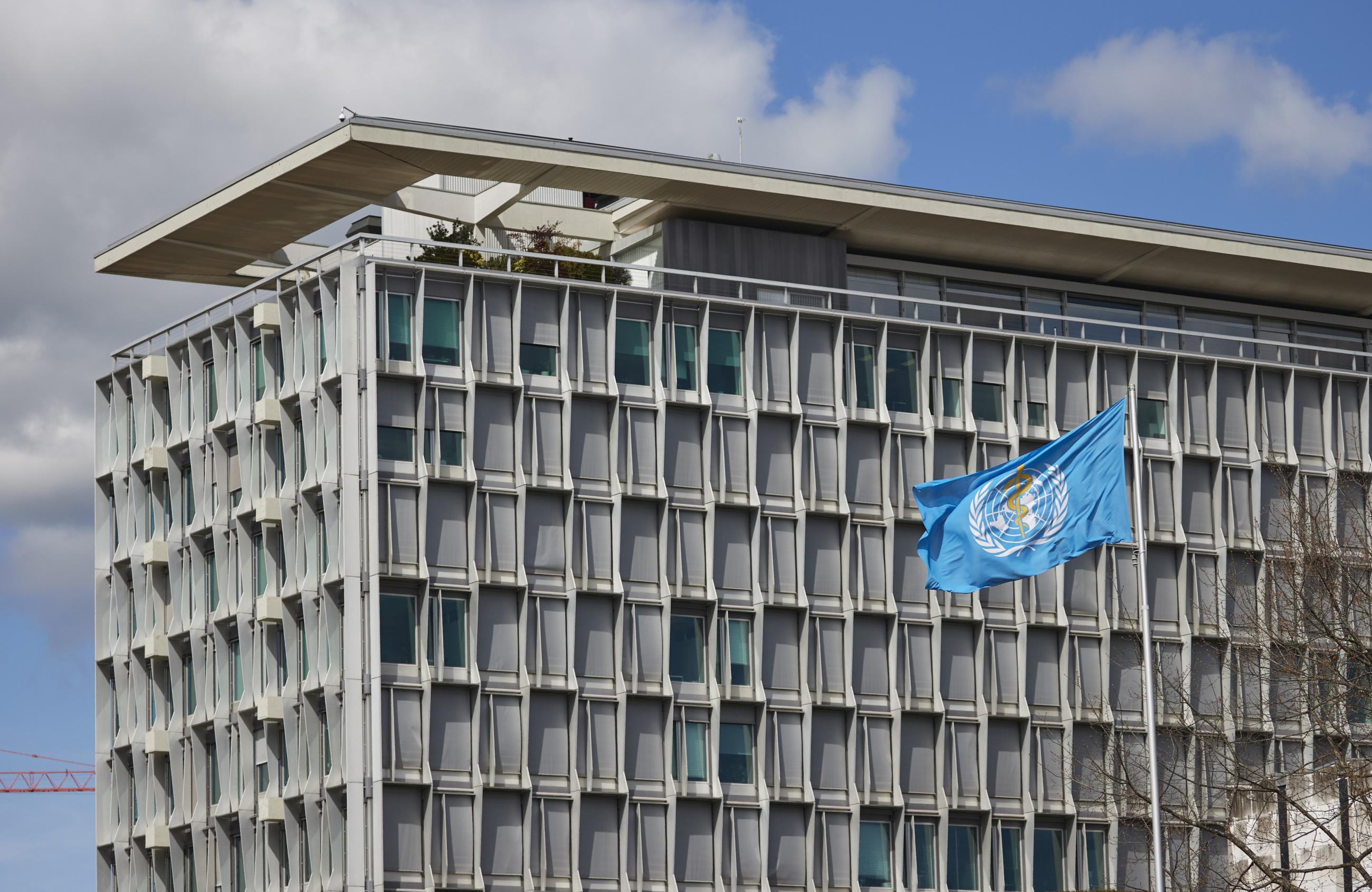 A flag is pictured outside a building of the World Health Organization (WHO) during an executive board meeting on update on the coronavirus disease (COVID-19) outbreak, in Geneva, Switzerland