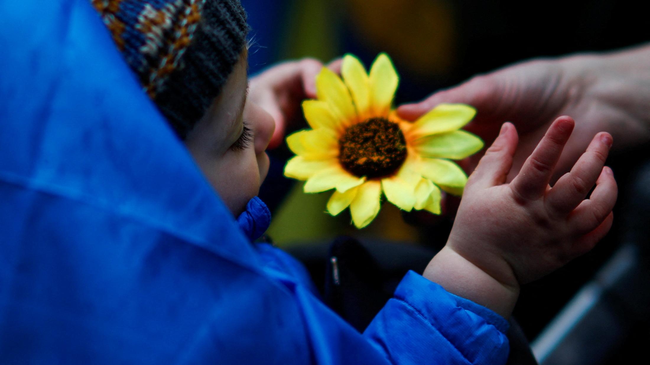 A baby in a blue coat plays with an artificial yellow sunflower. The colors of the photo evoke the blue and yellow of the Ukrainian flag.