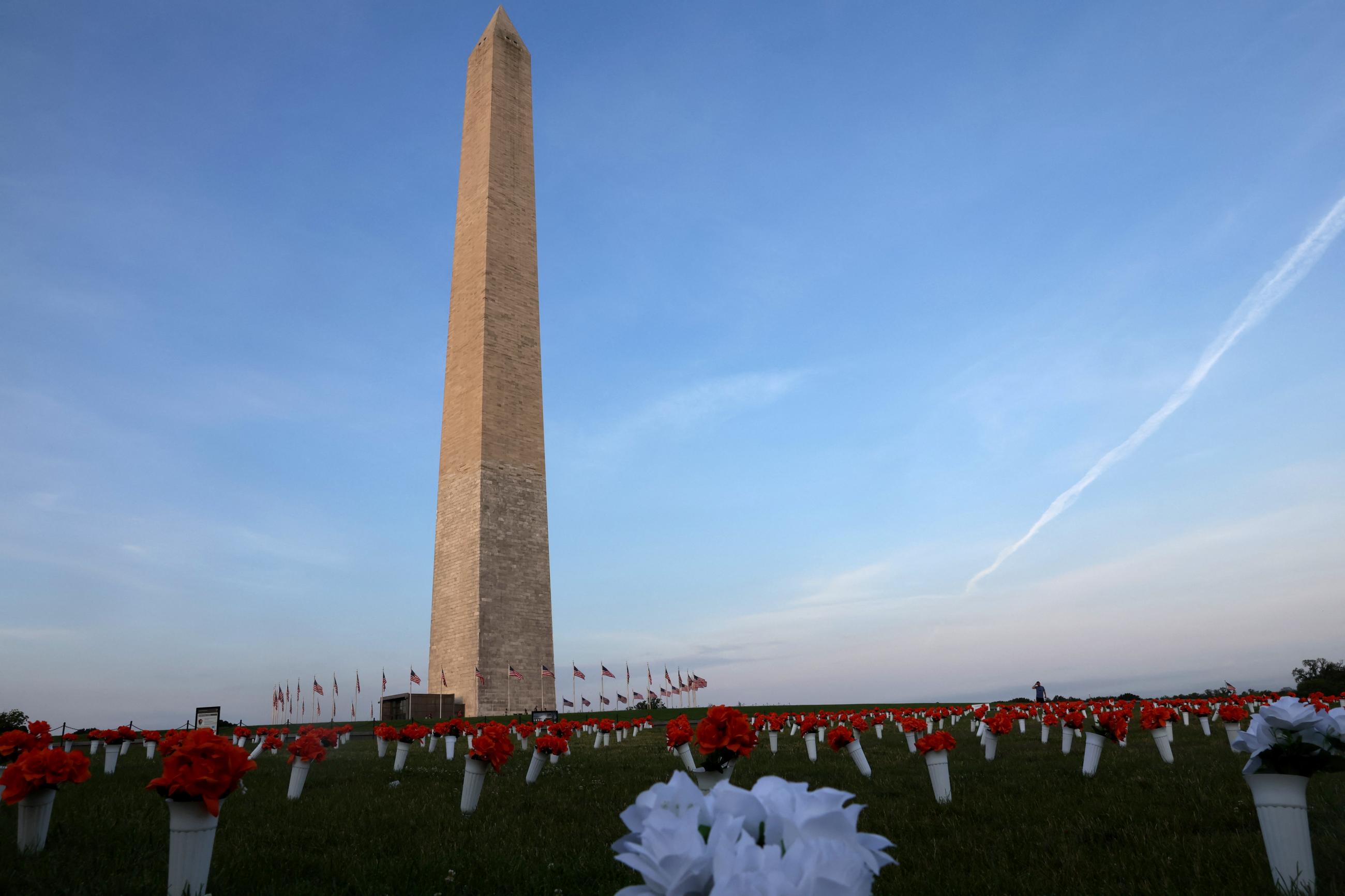The Washington Monument towers against a backdrop of blue sky over the National Mall, which has been decorated with vases of red and white flowers to commemorate lives lost due to gun violence in 2020