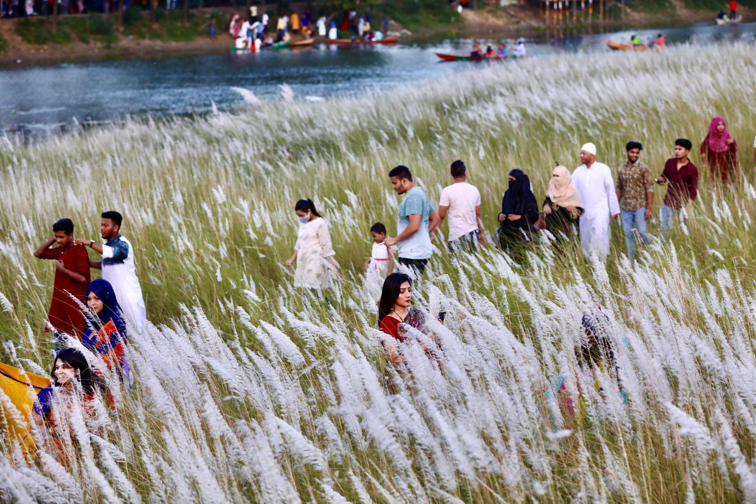 People in colorful clothes stand in a field of catkins, a tall grassy plant with green stems and white, feather-like tufts at the top that are about chest-high. In the background, a blue stream flows. 