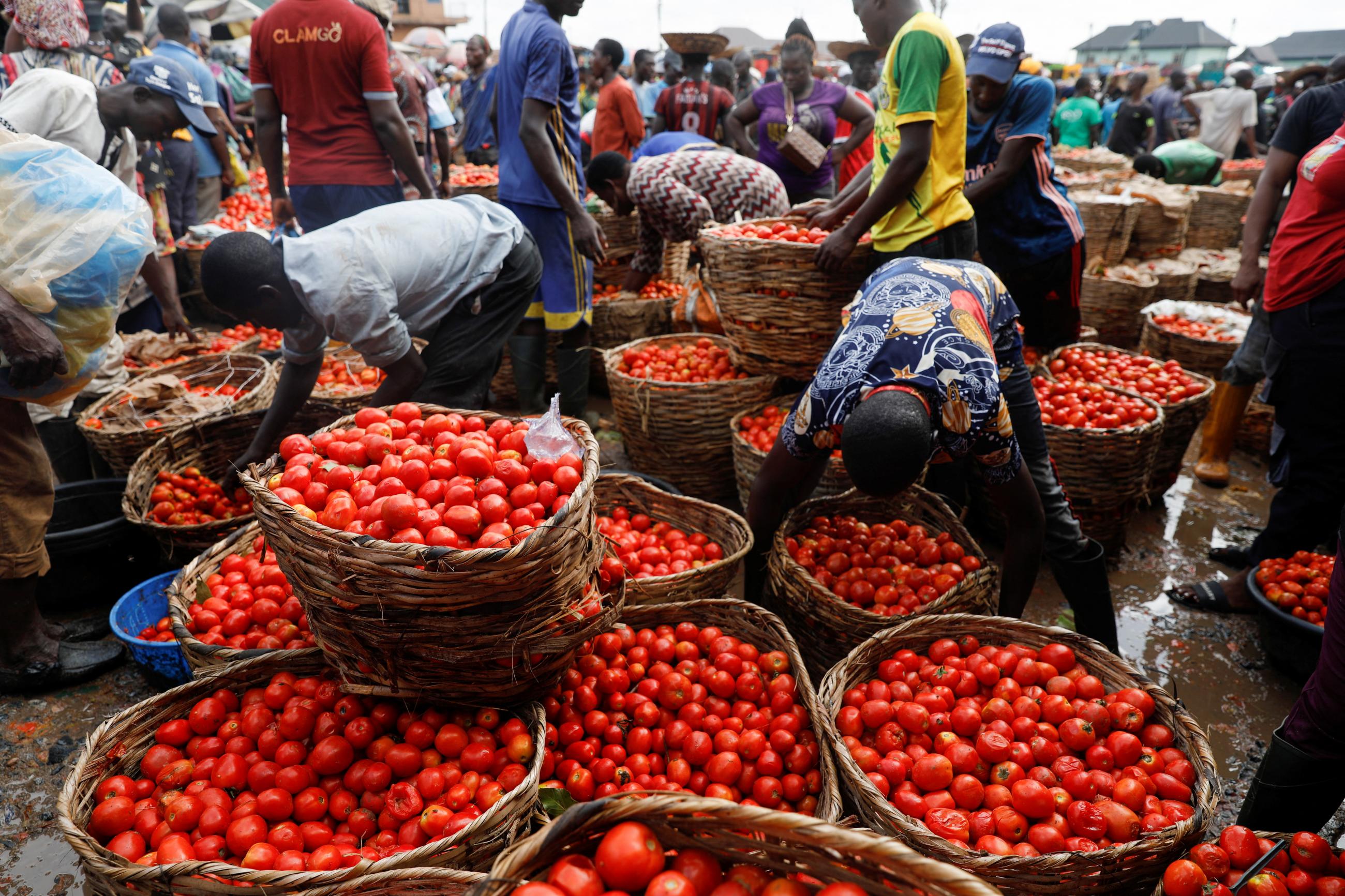 Baskets full of brightly-colored produce are seen as numerous people buy and sell vegetables at Mile 12 International Market in Lagos, Nigeria, on May 13, 2022. 