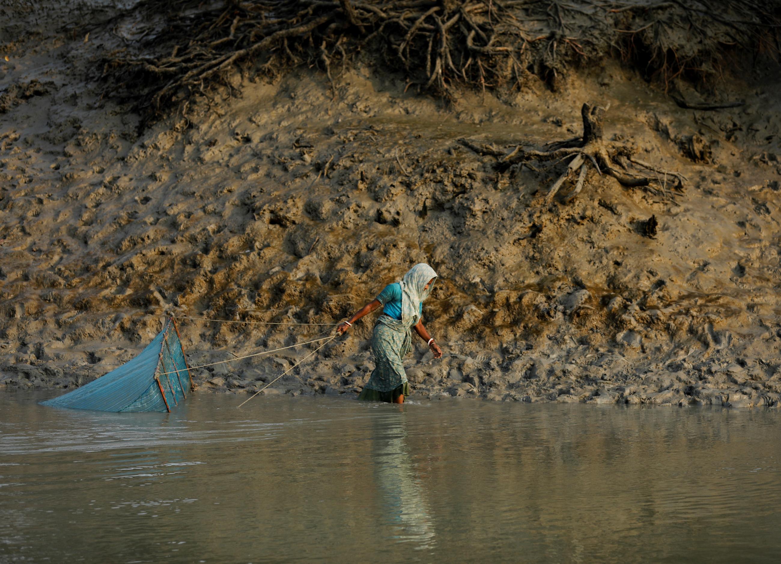 A woman fishes along the banks of a river near the island of Satjelia in the Sundarbans, India, on December 16, 2019.