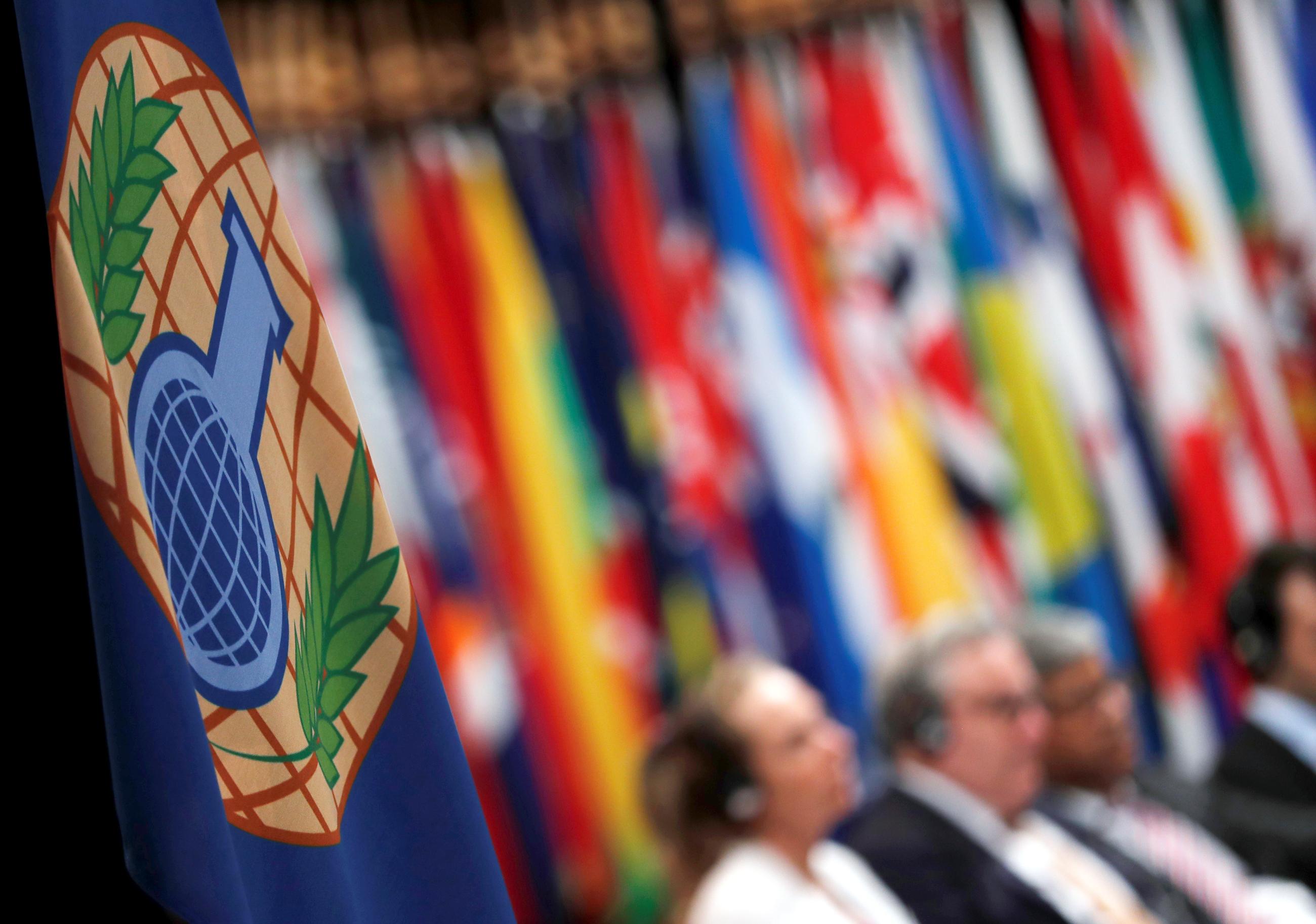 The logo of the Organisation for the Prohibition of Chemical Weapons (OPCW) is seen during a special session in the Hague, Netherlands, on June 26, 2018. 