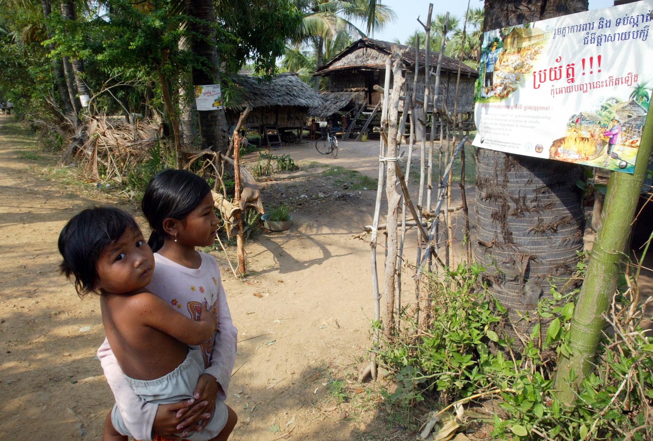 A Cambodian girl reads a notice about bird flu near Toul Prage village in Kampong Speu province, Cambodia, on March 31, 2006.