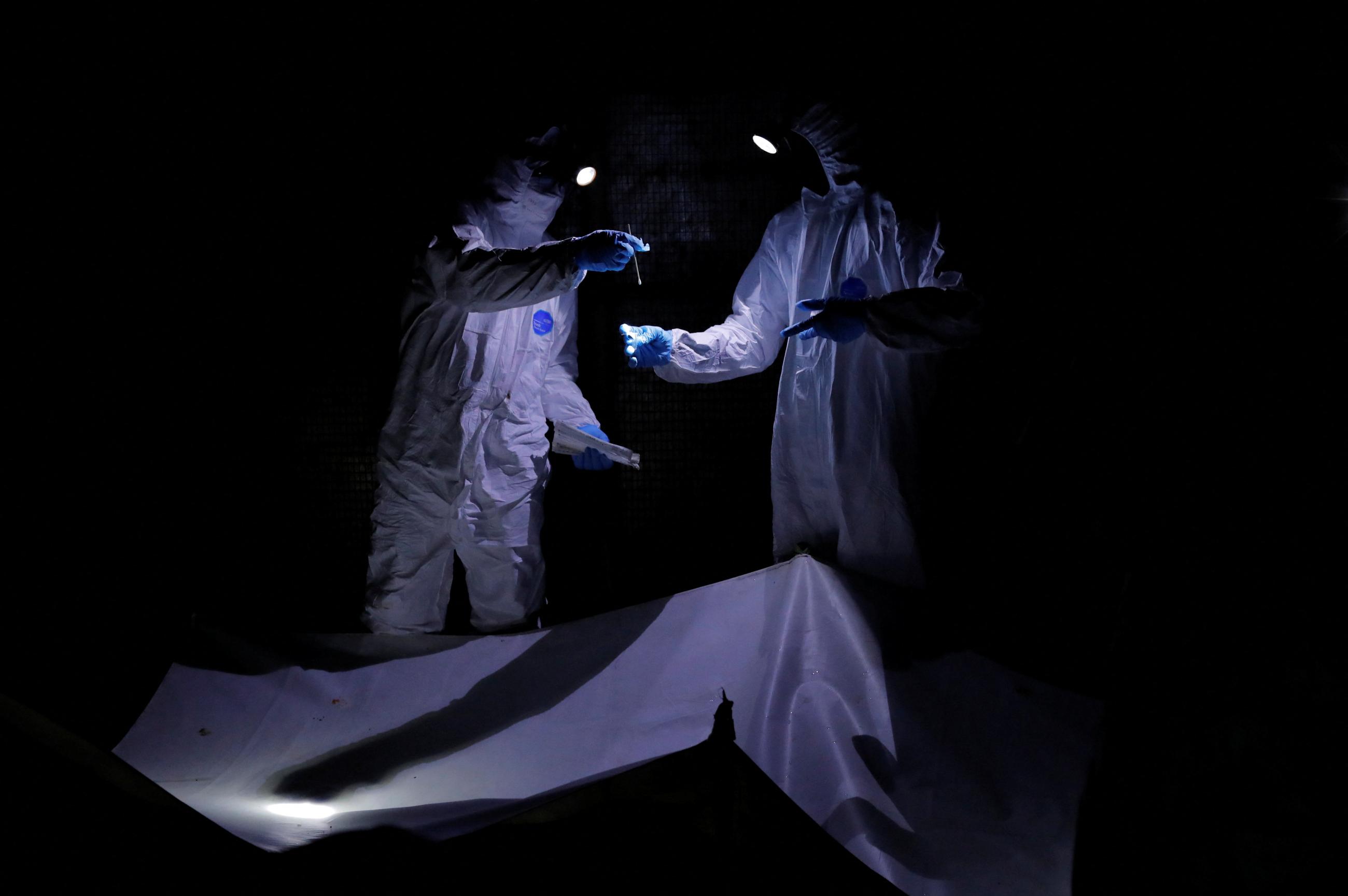 A research team investigating emerging zoonotic diseases collects samples from a bat breeding shed in Accra, Ghana, August 19, 2022.