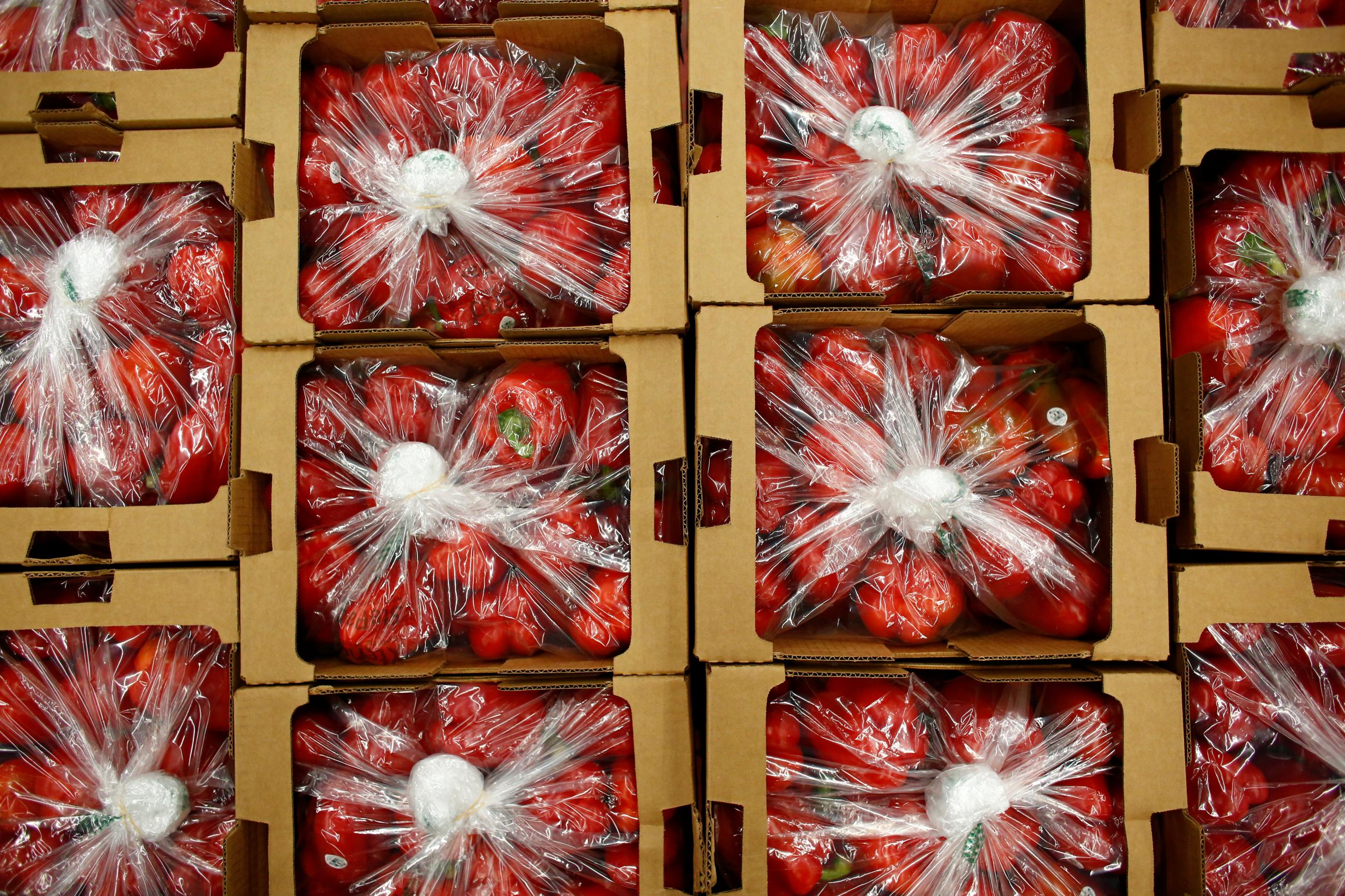 Red peppers, seen in the warehouse of Food Bank of the Rockies, will be distributed to people in need in Denver, Colorado, U.S., November 25, 2020.