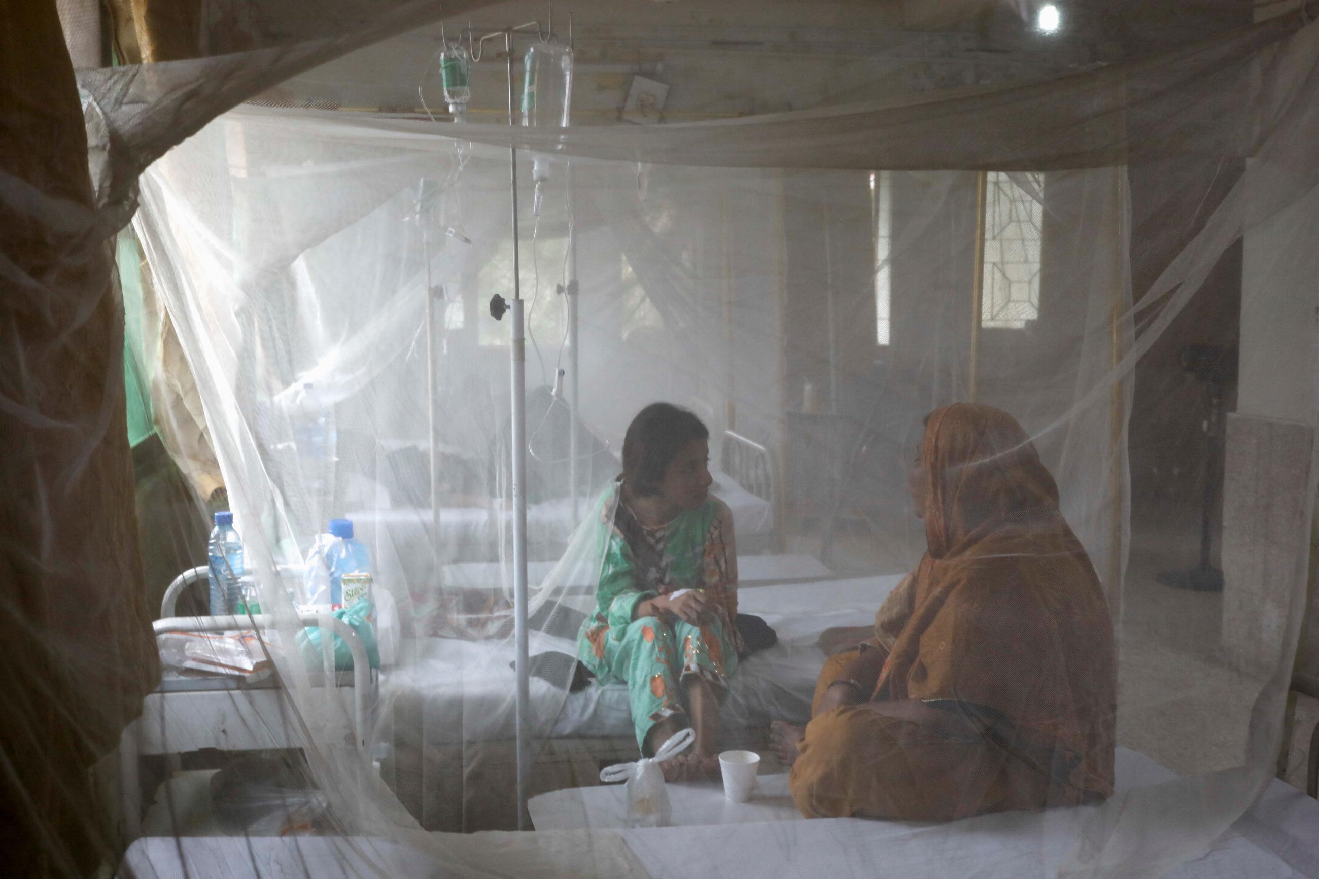 A patient suffering from dengue fever chats with a woman while sitting under a mosquito net.