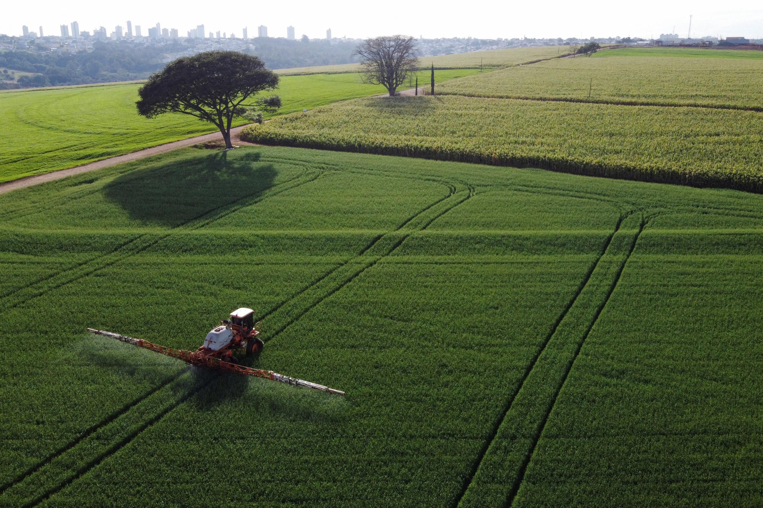 A tractor sprays pesticides on wheat crops to be harvested that year.