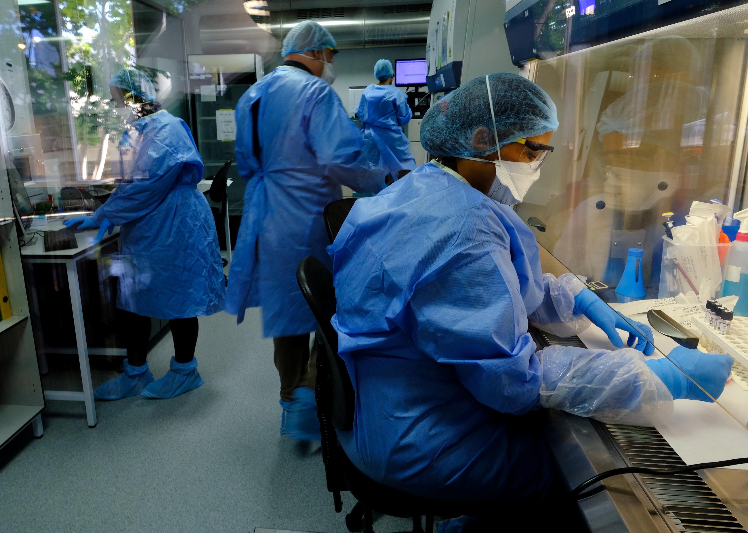 Researchers studying the BCG vaccine for tuberculosis test samples in a laboratory.