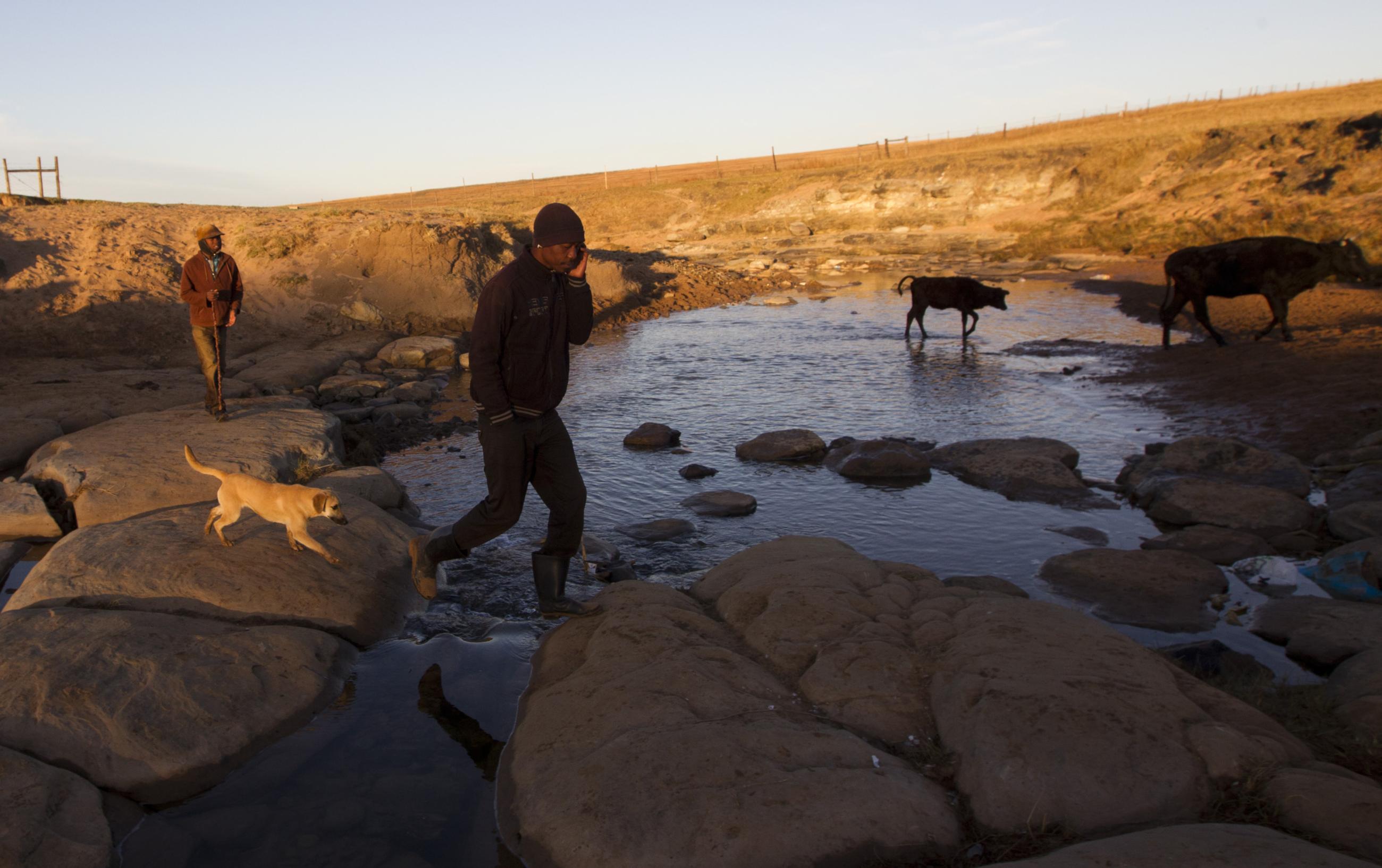 A cattle herder speaks on a cell phone while moving his animals across the Qunu River near former South African President Nelson Mandela's house in Qunu, South Africa, on June 28, 2013.